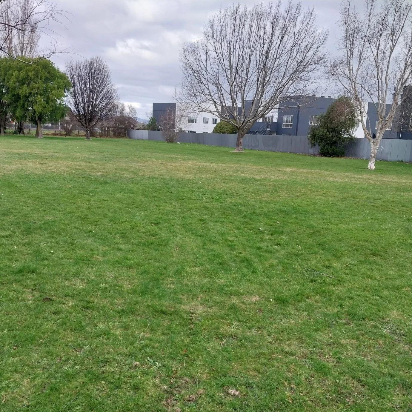 Craighead Reserve – the fruit trees will be in the far corner
