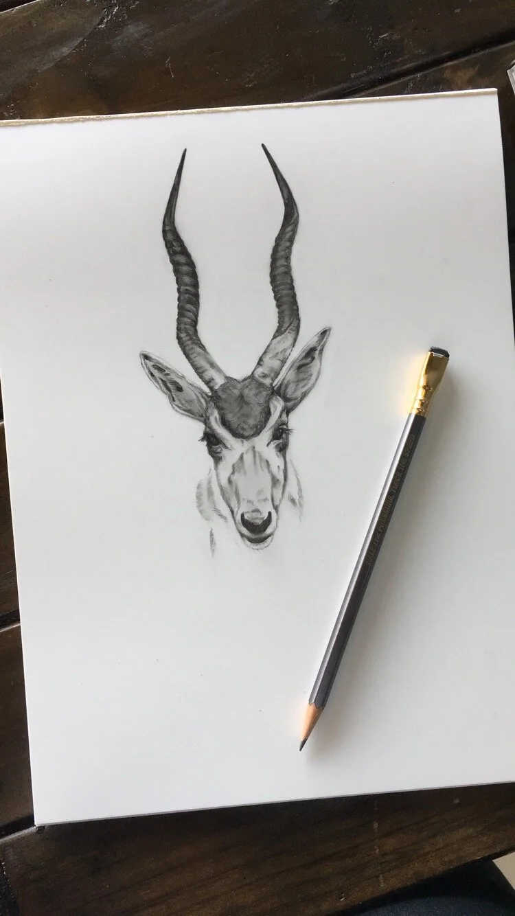 Commission, pencil on Yupo paper