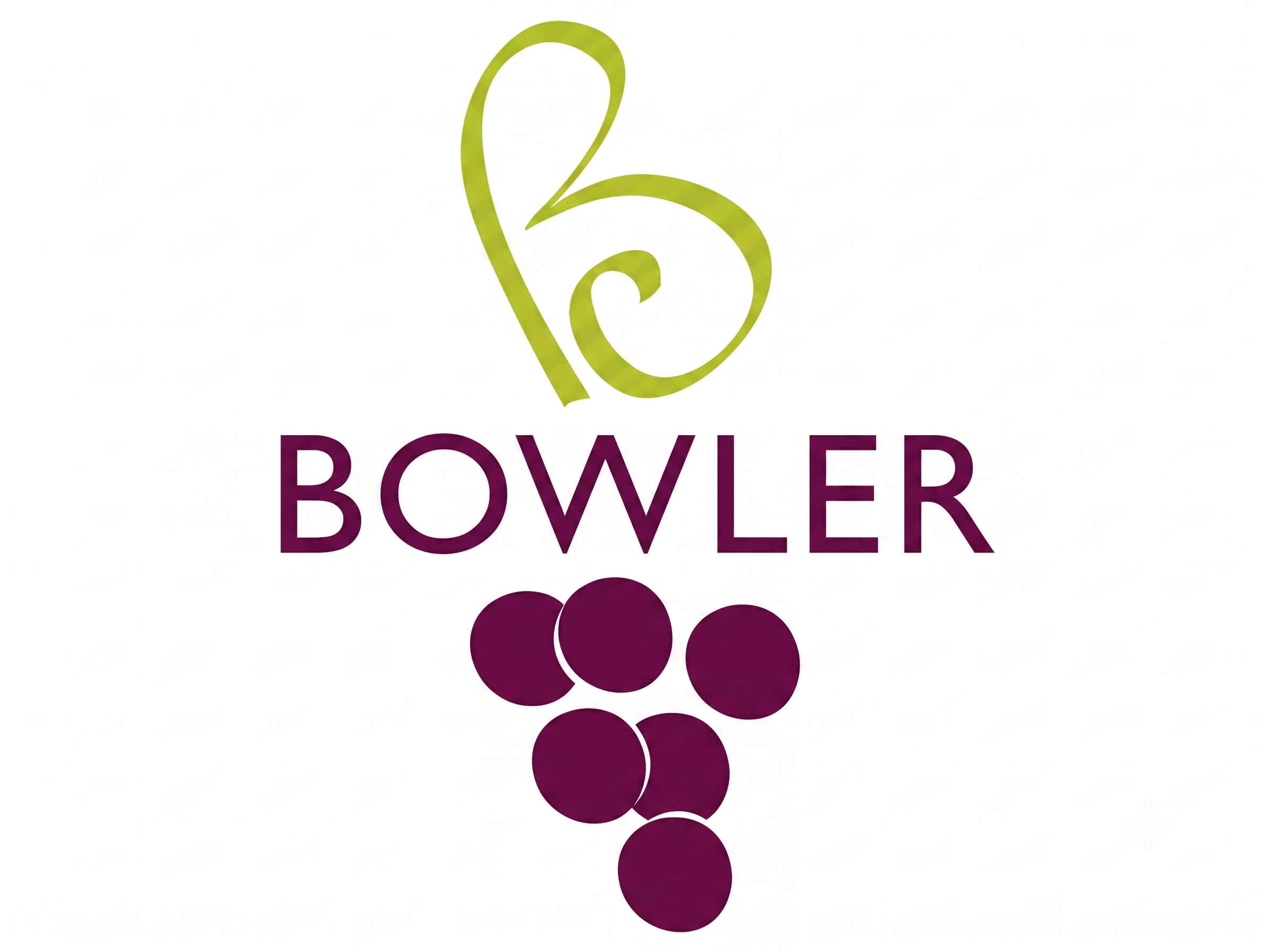 Bowler Website Image.png