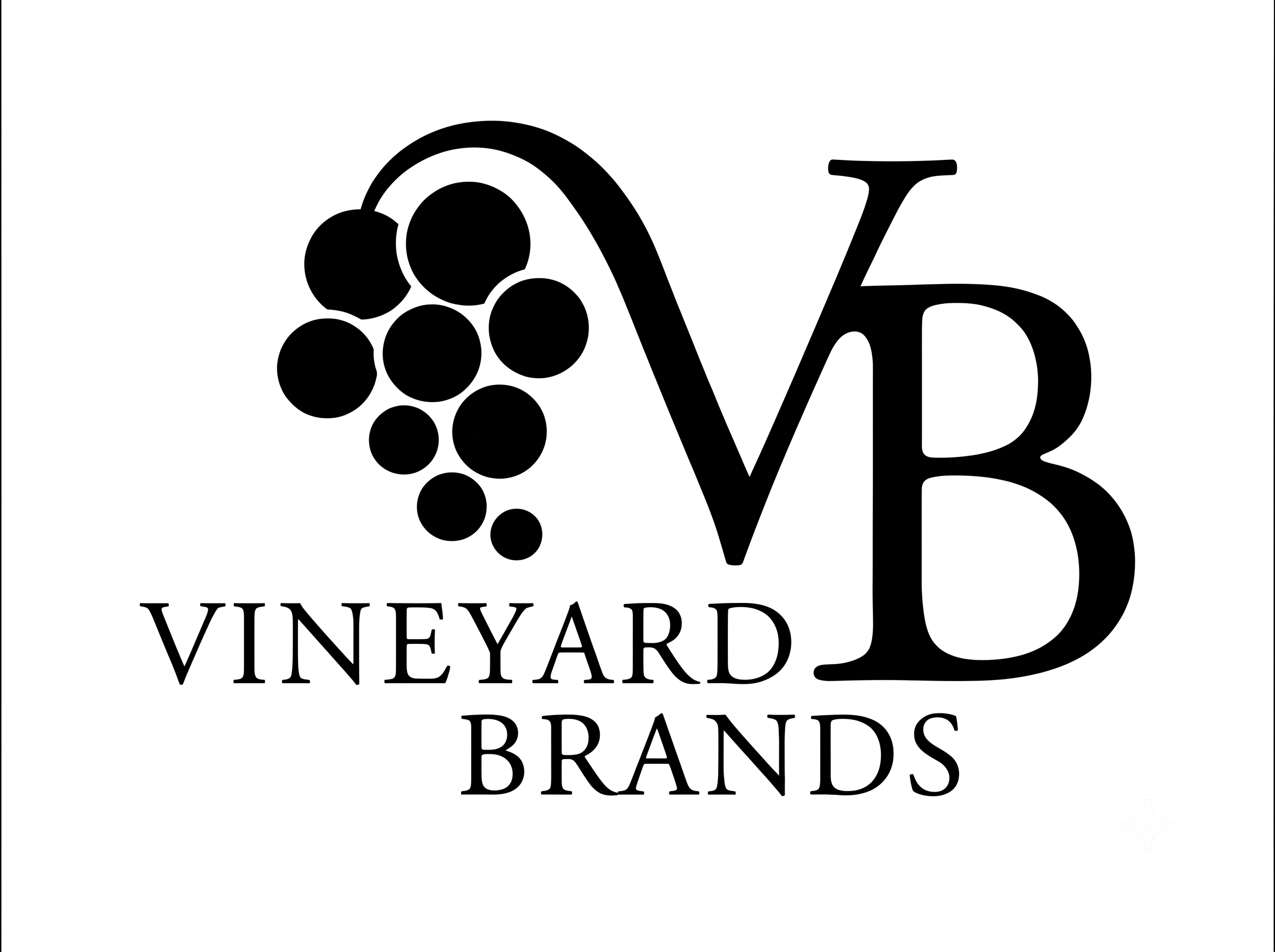 Vineyard Brands Website IMage.png