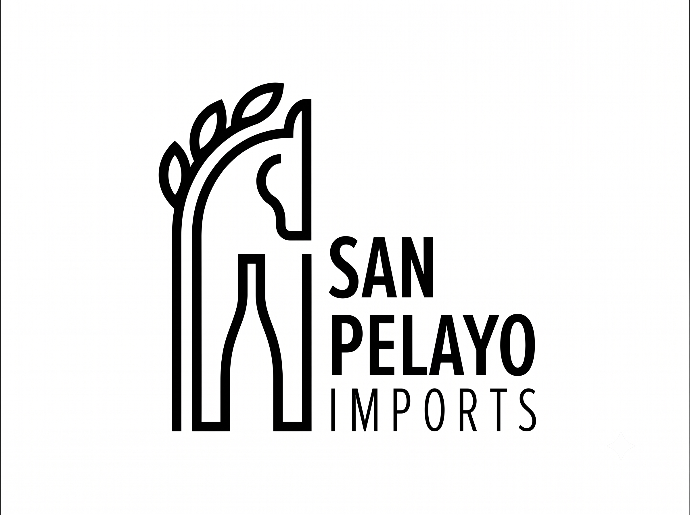 San Pelay Website IMage.png