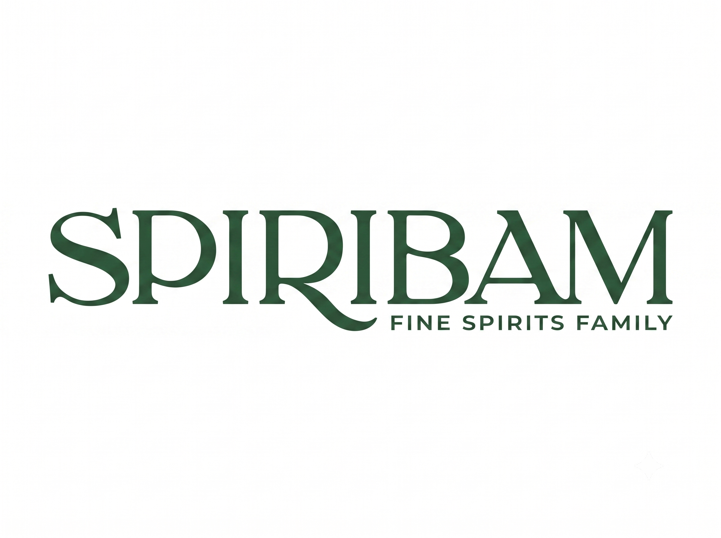 Spiribam Website Image.png