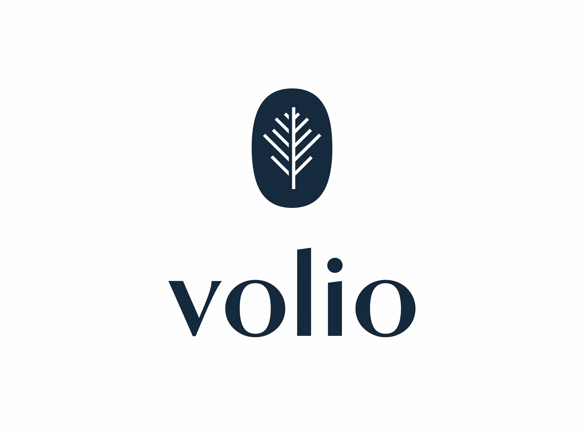 Volio Website Image.png