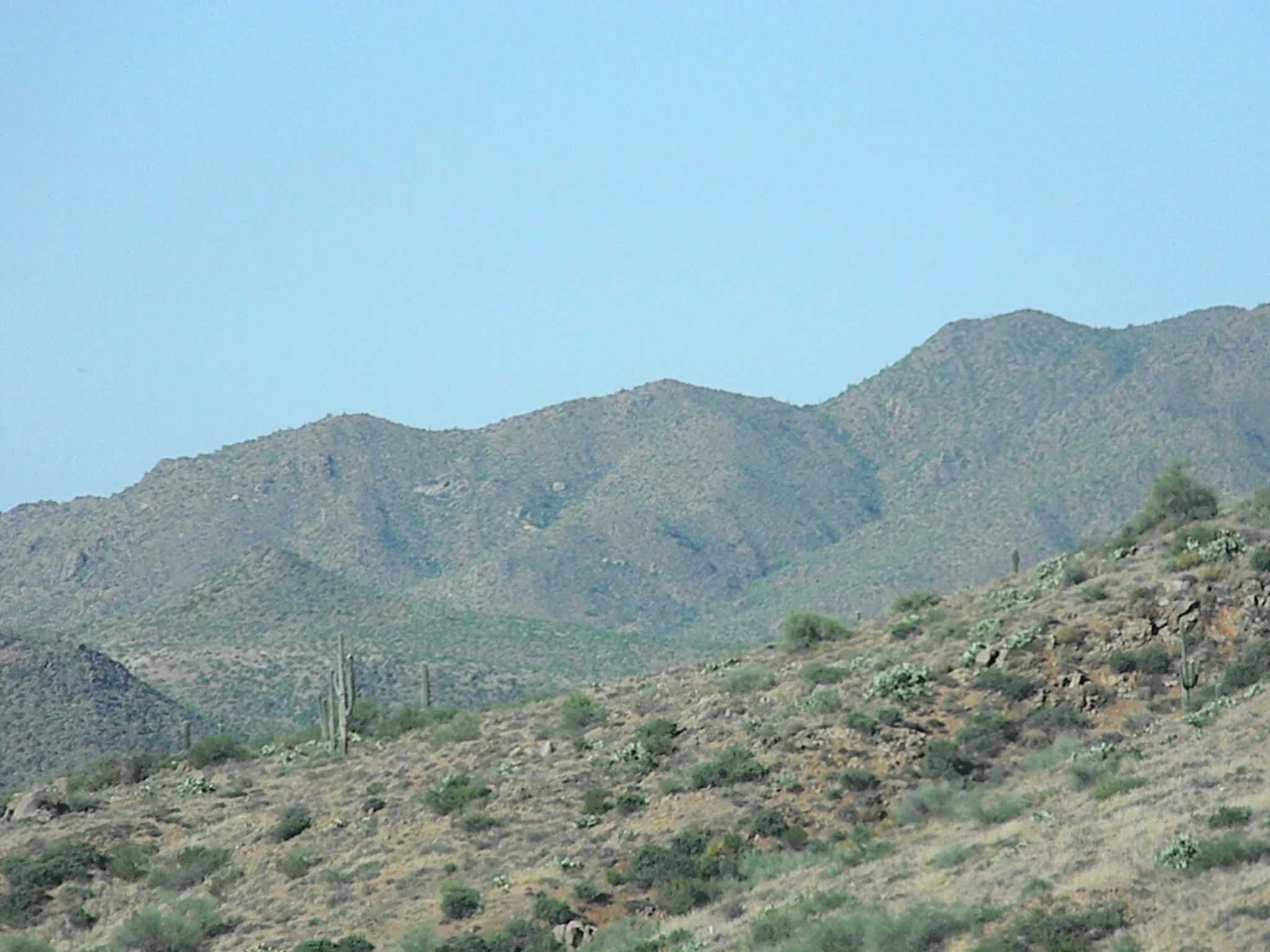 Streams in the Desert