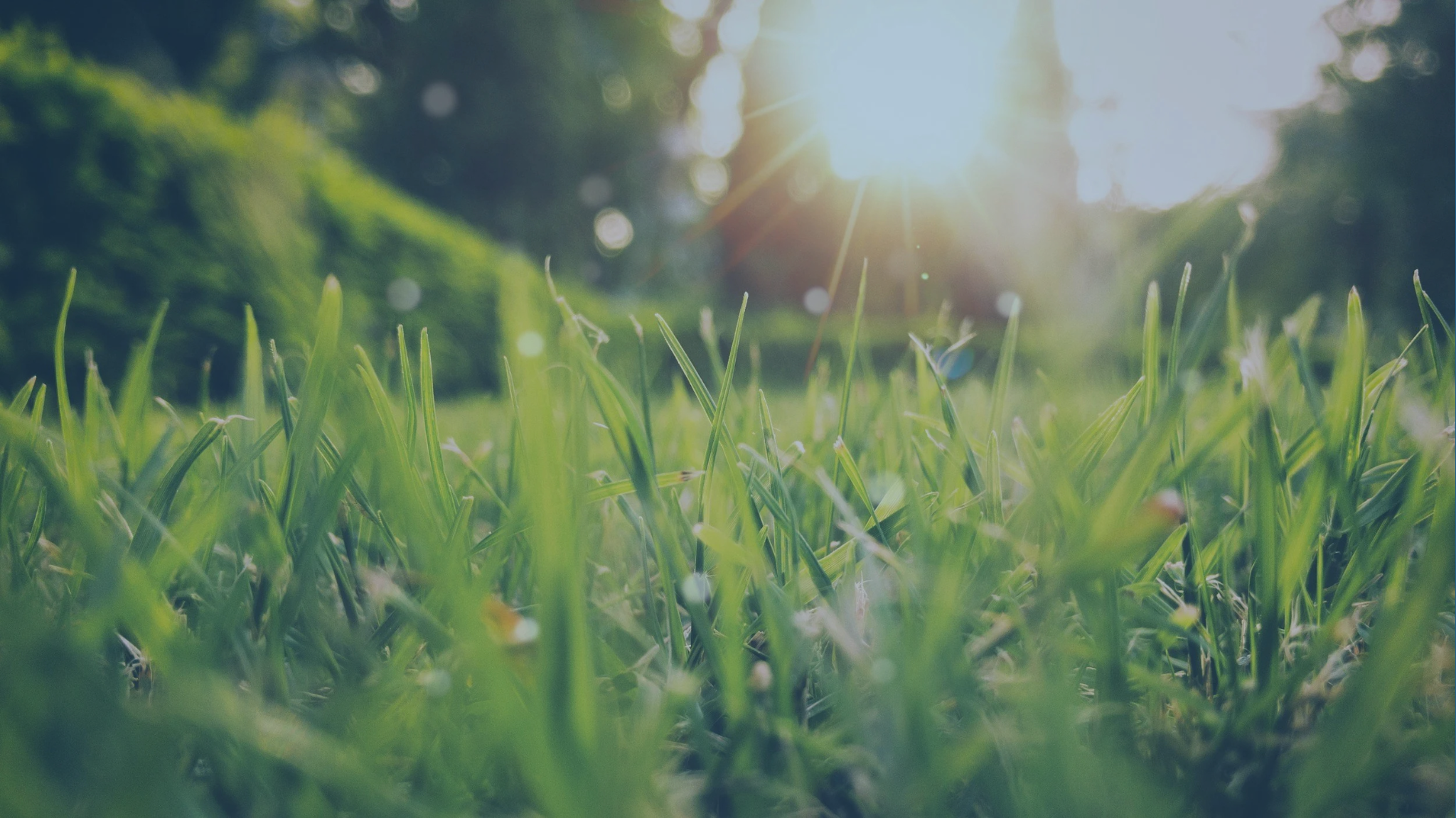 Spring is Coming