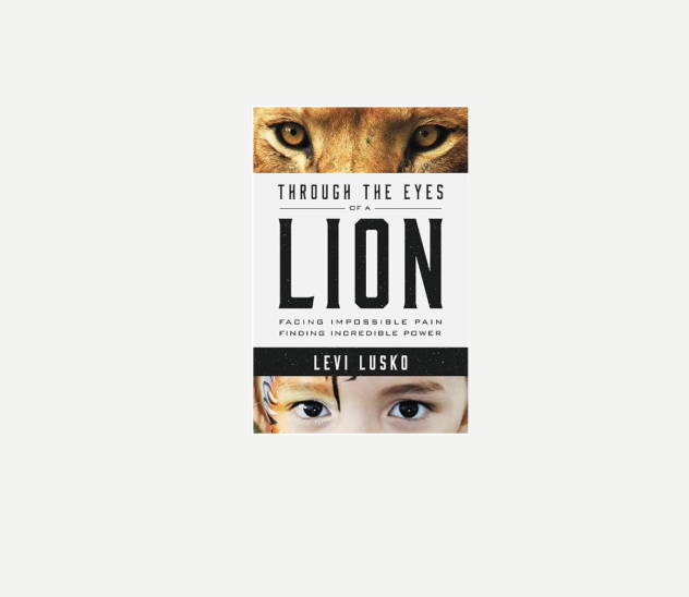 Through the Eyes of a Lion