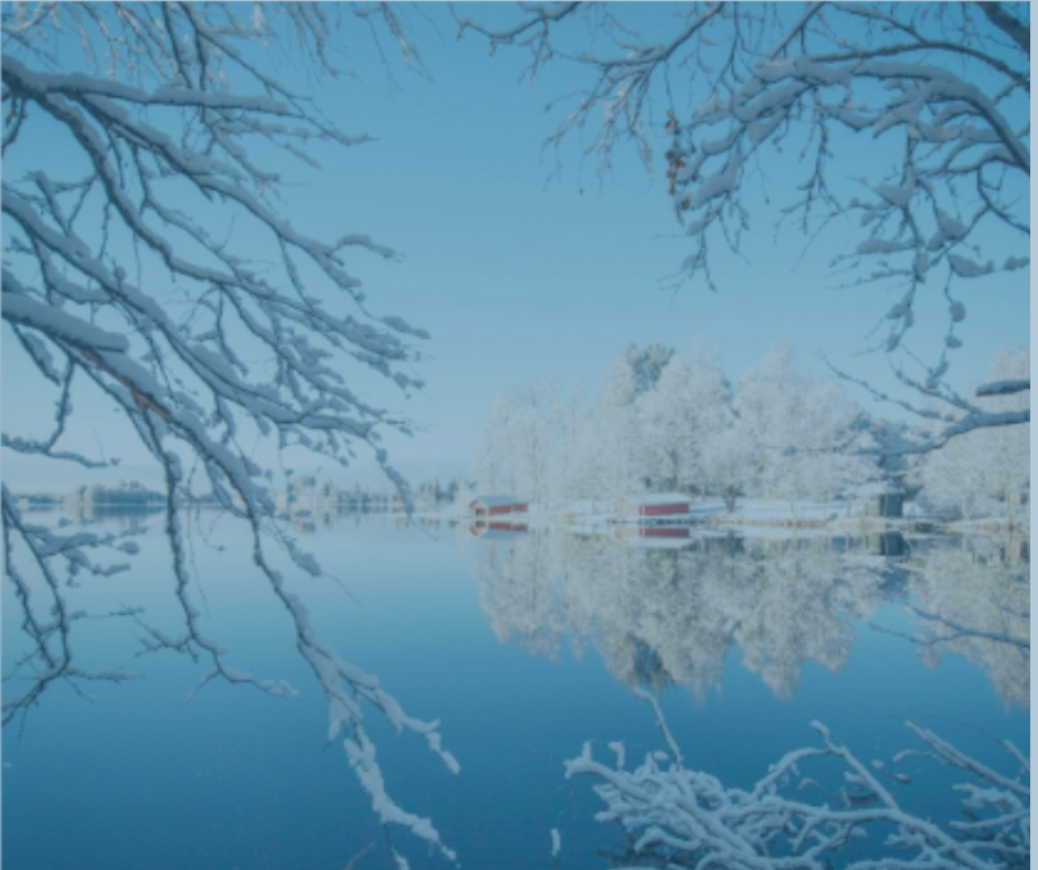 Longing for Peace