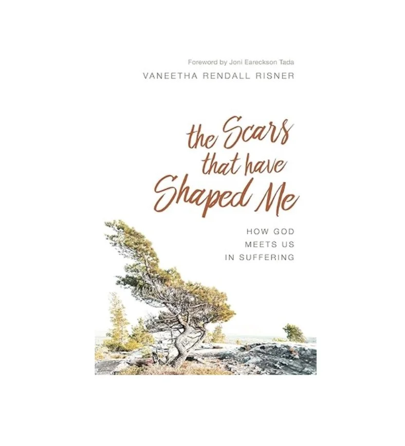 The Scars That Have Shaped Me: How God Meets Us in Suffering