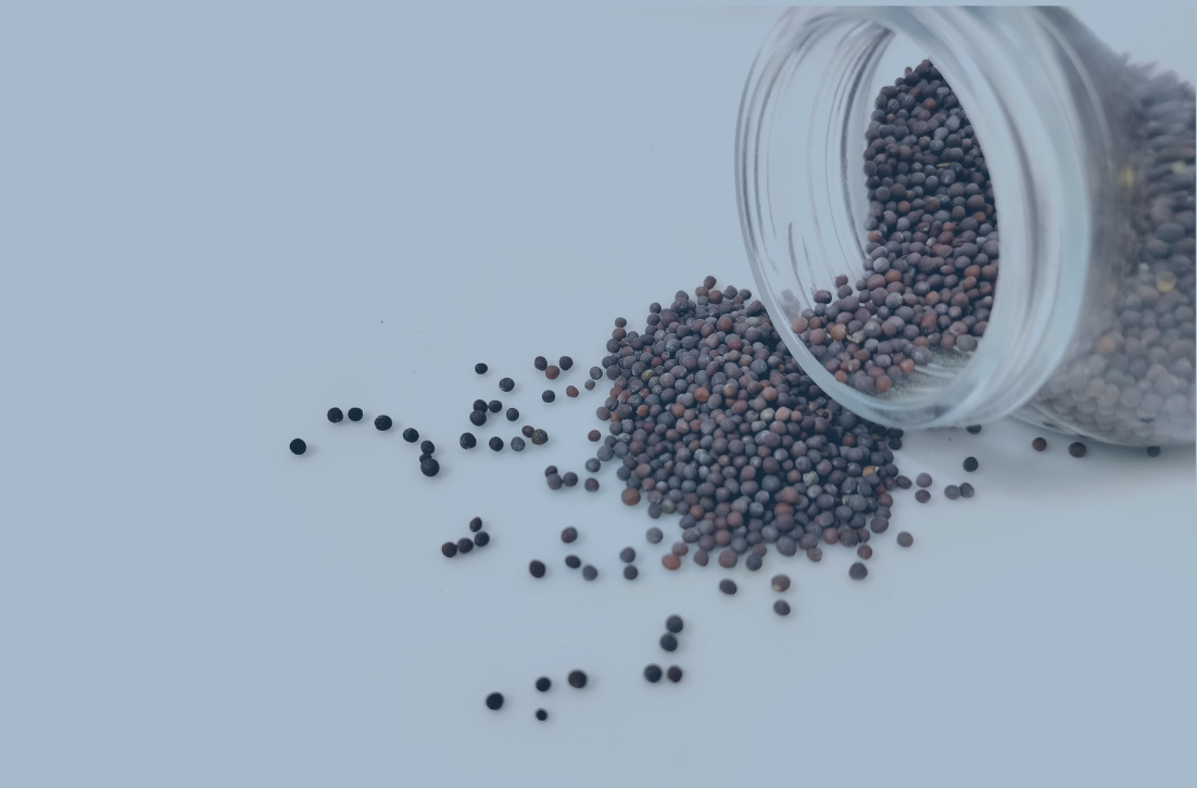 My Mountain-Moving Mustard Seed Faith