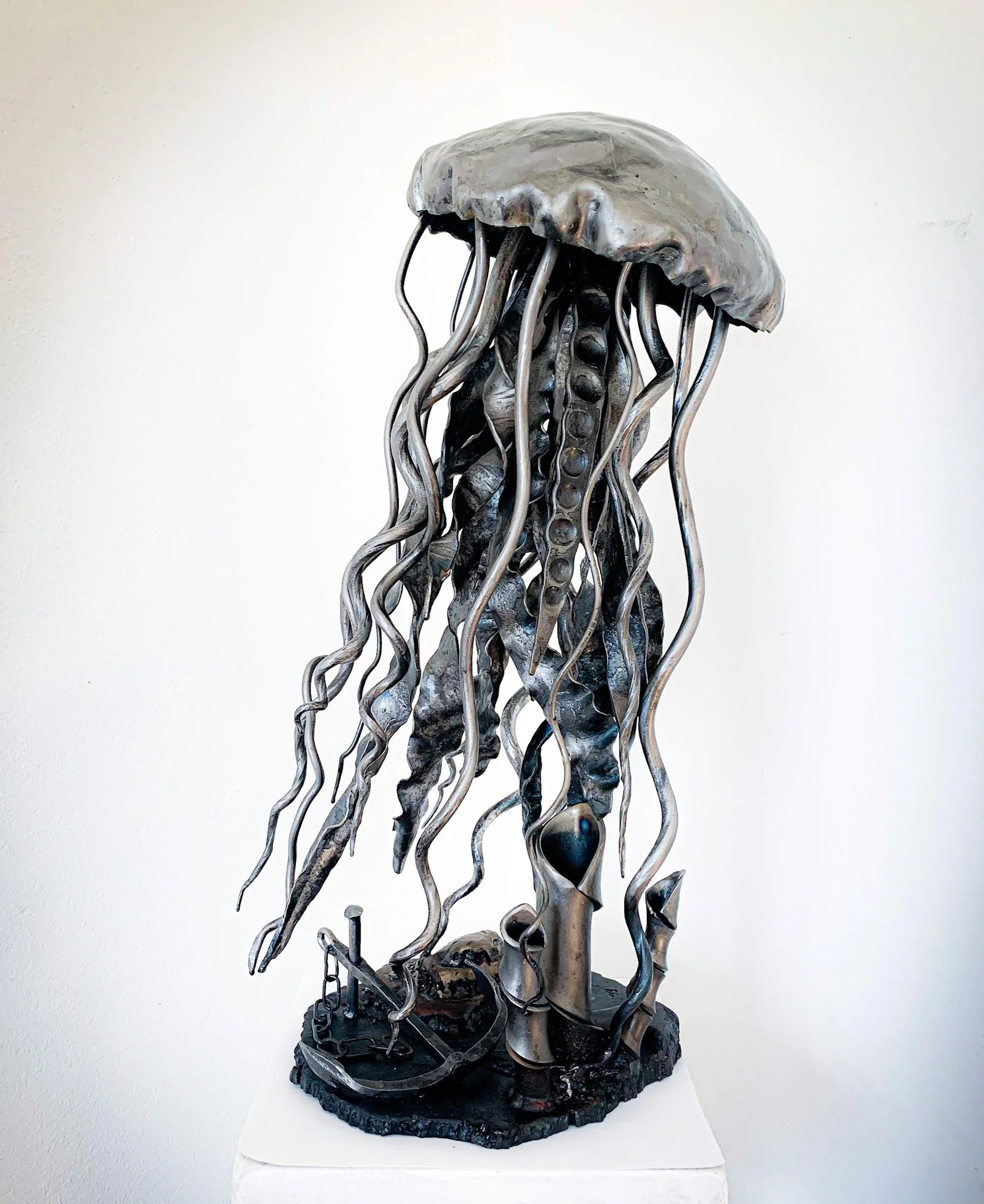 Nature & Organic Forms