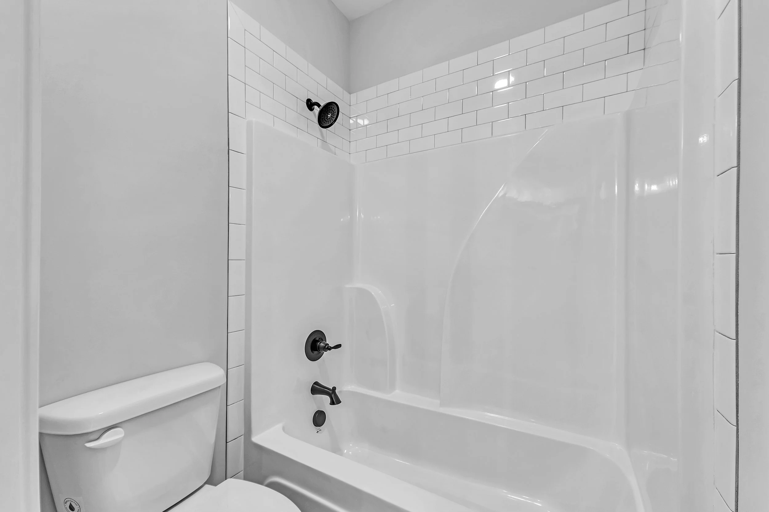 P1715632.jpg