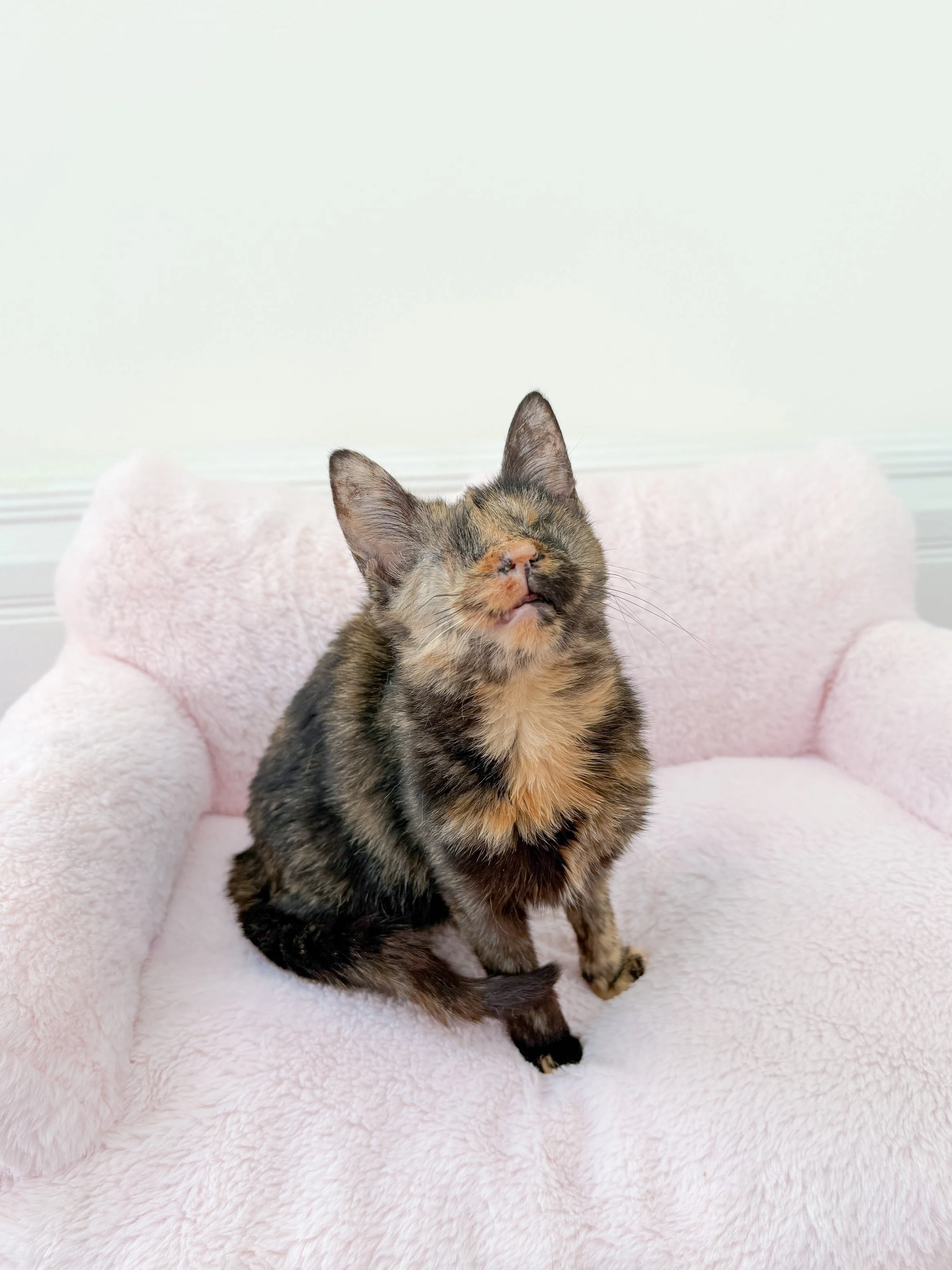 Clover, Blind + Pectus Excavatum