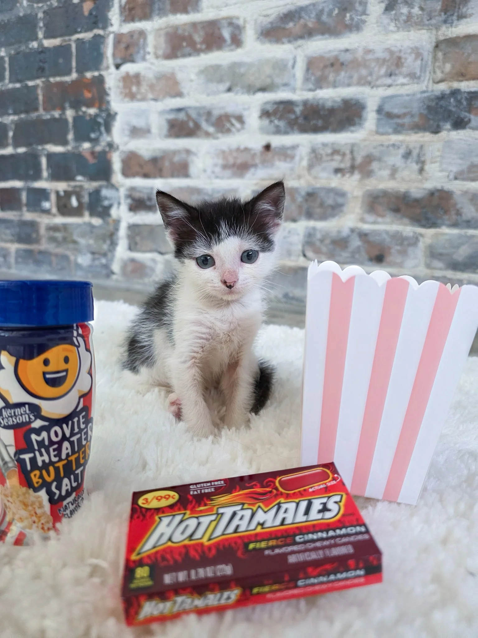 Movie Night!