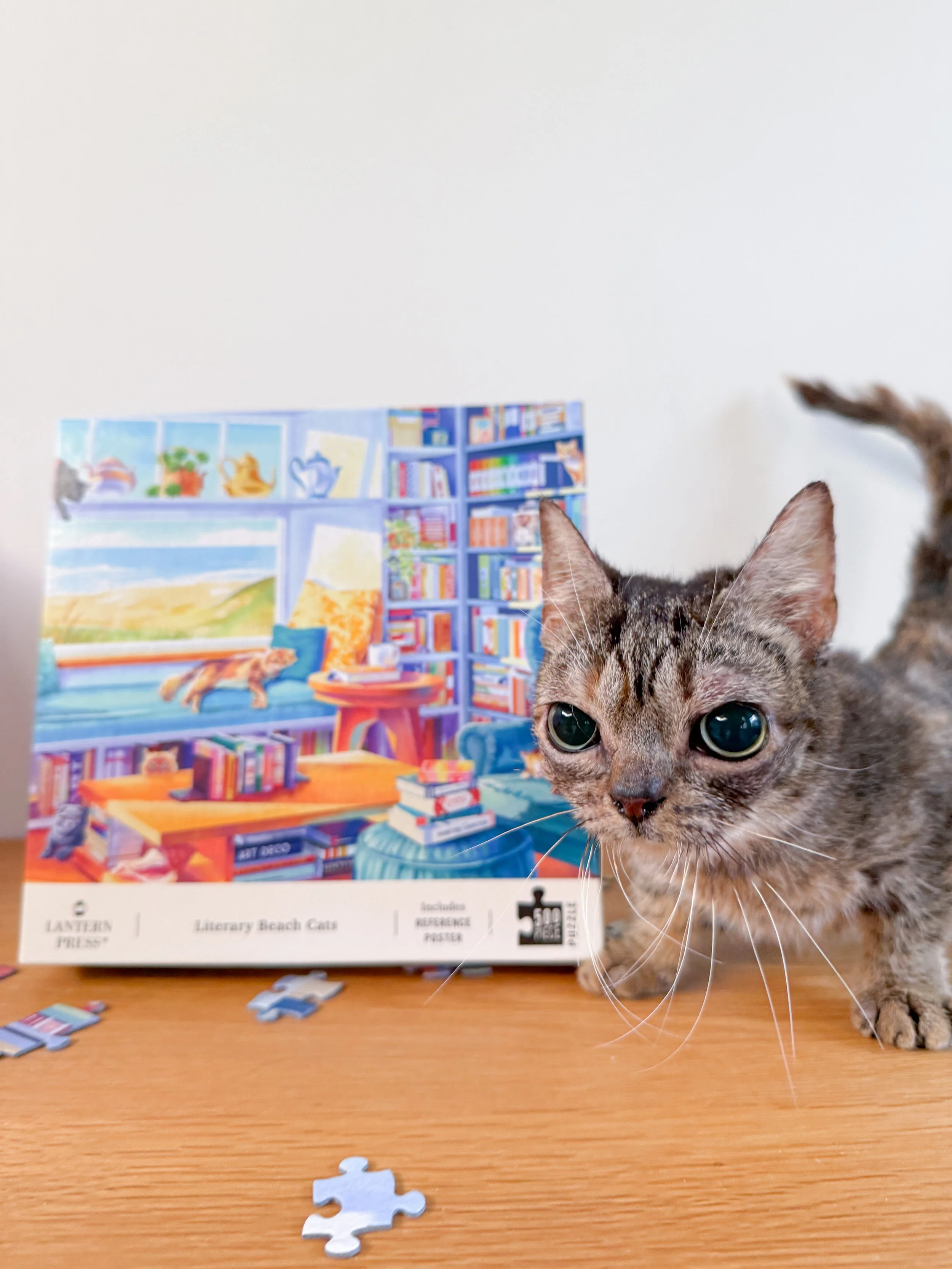 Puzzles & Snuggles! 🧩