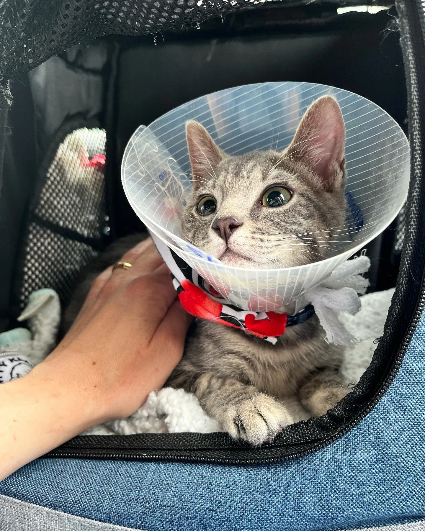 3445EA1D-AD18-4EBC-97EB-39C1D504B619 2.JPG