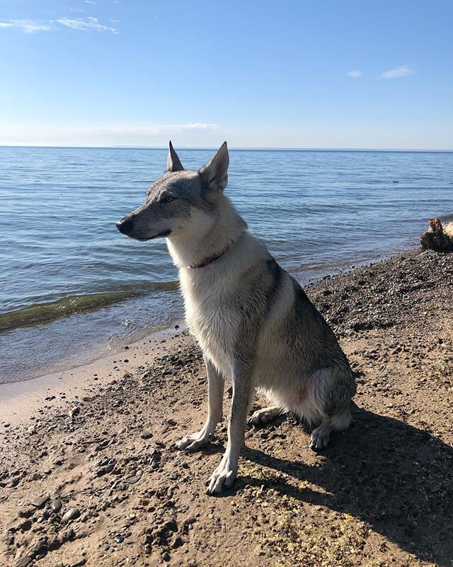 Highlights from my beach date! ☀️⛱