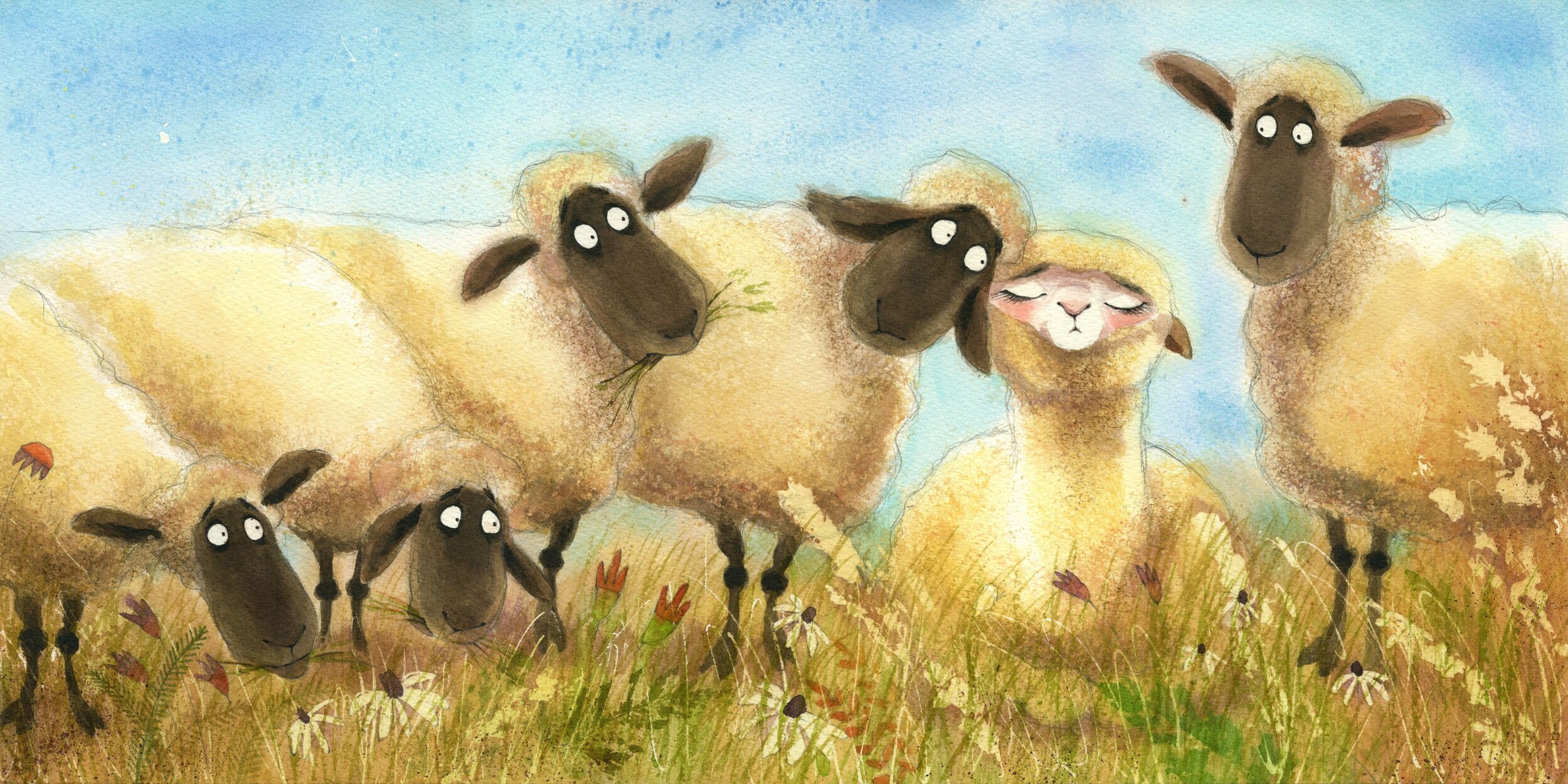 Alpaca and sheep website image.jpeg