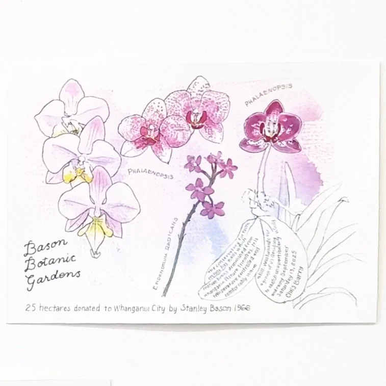 CB Bason Gardens.jpg