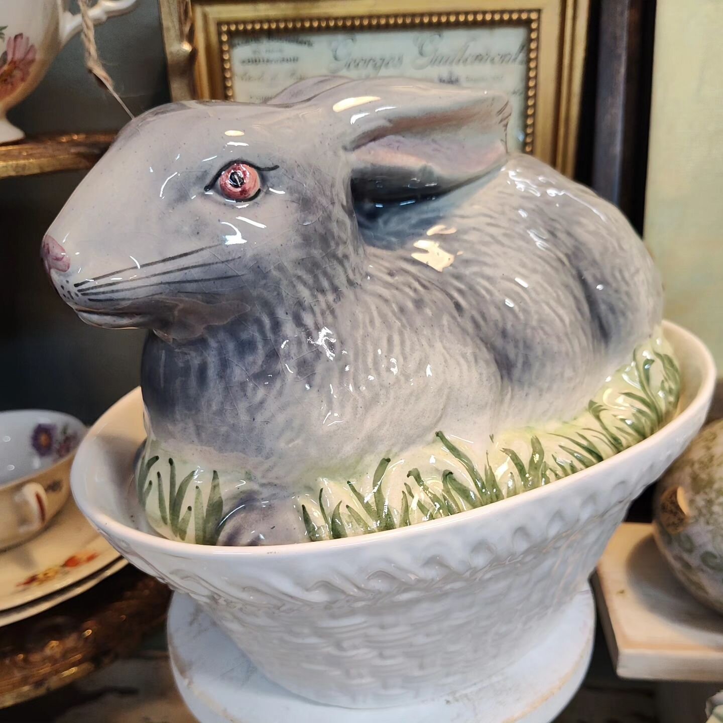 Easter Bunnies... We've got em.. Hop on in and see all our adorable bunnies!
Don't let those spring showers keep you away, lots of fun new things to see at The Garage on 25.
#springdecor 
#springinasheville 
#easterinasheville 
#easterdecor
#shopflet