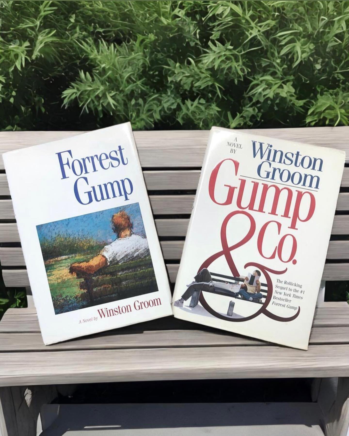 Did you know that there was a sequel to Forest Gump? There is! You can see it in the picture!
#bookstagram #bookstagrammer #bibliophile 
#forestgump #winstongroom 
@thegarageon25