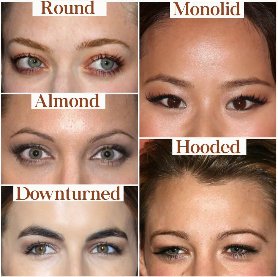Botox Brow Lift Everything You Need to Know — Natural Injector