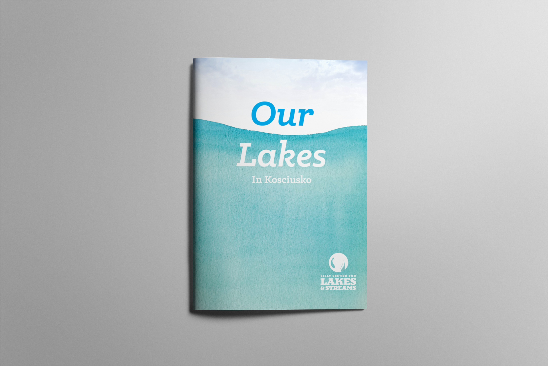 01-brochure-a4-vertCover Mockup.png