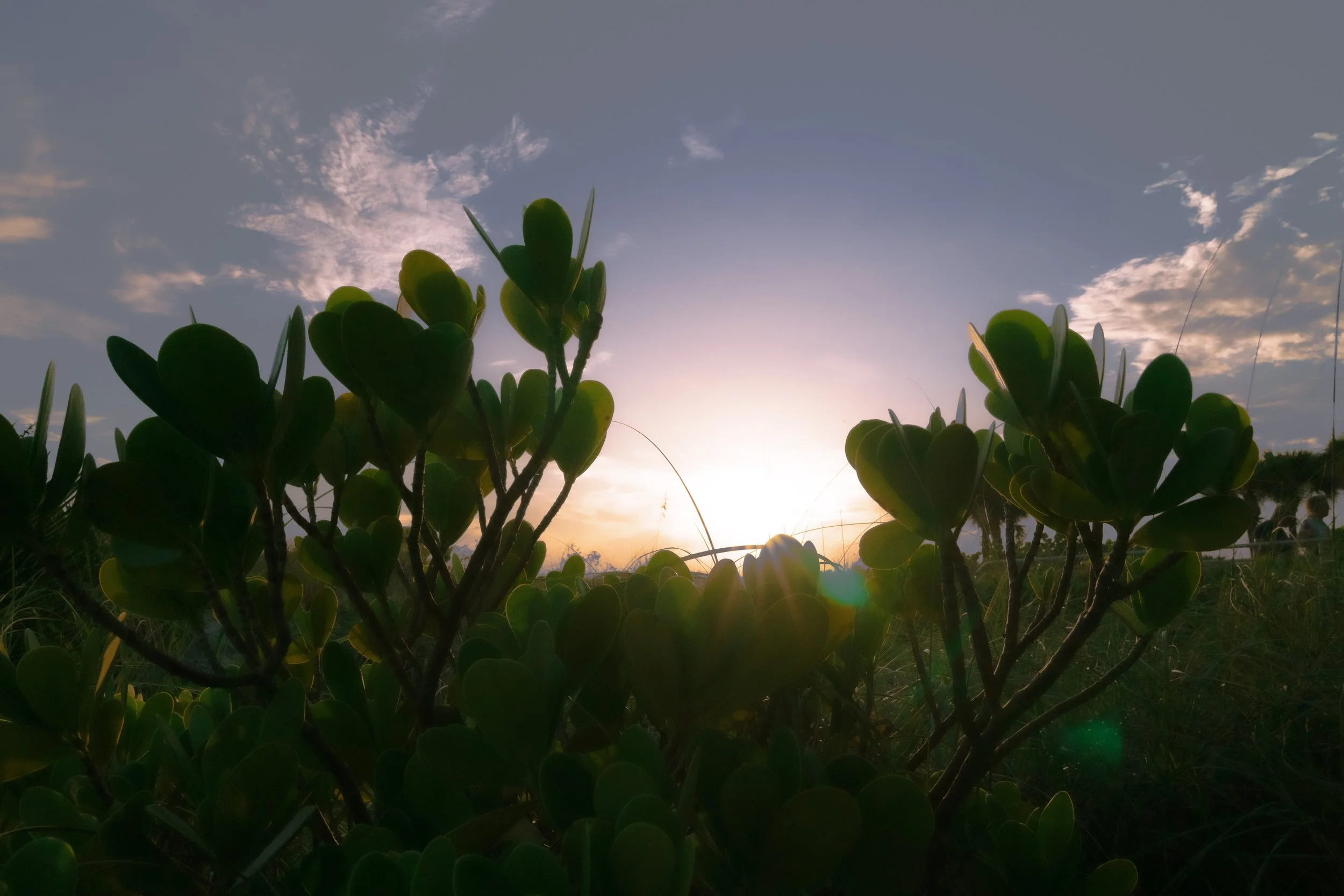 Madeira Beach, Florida