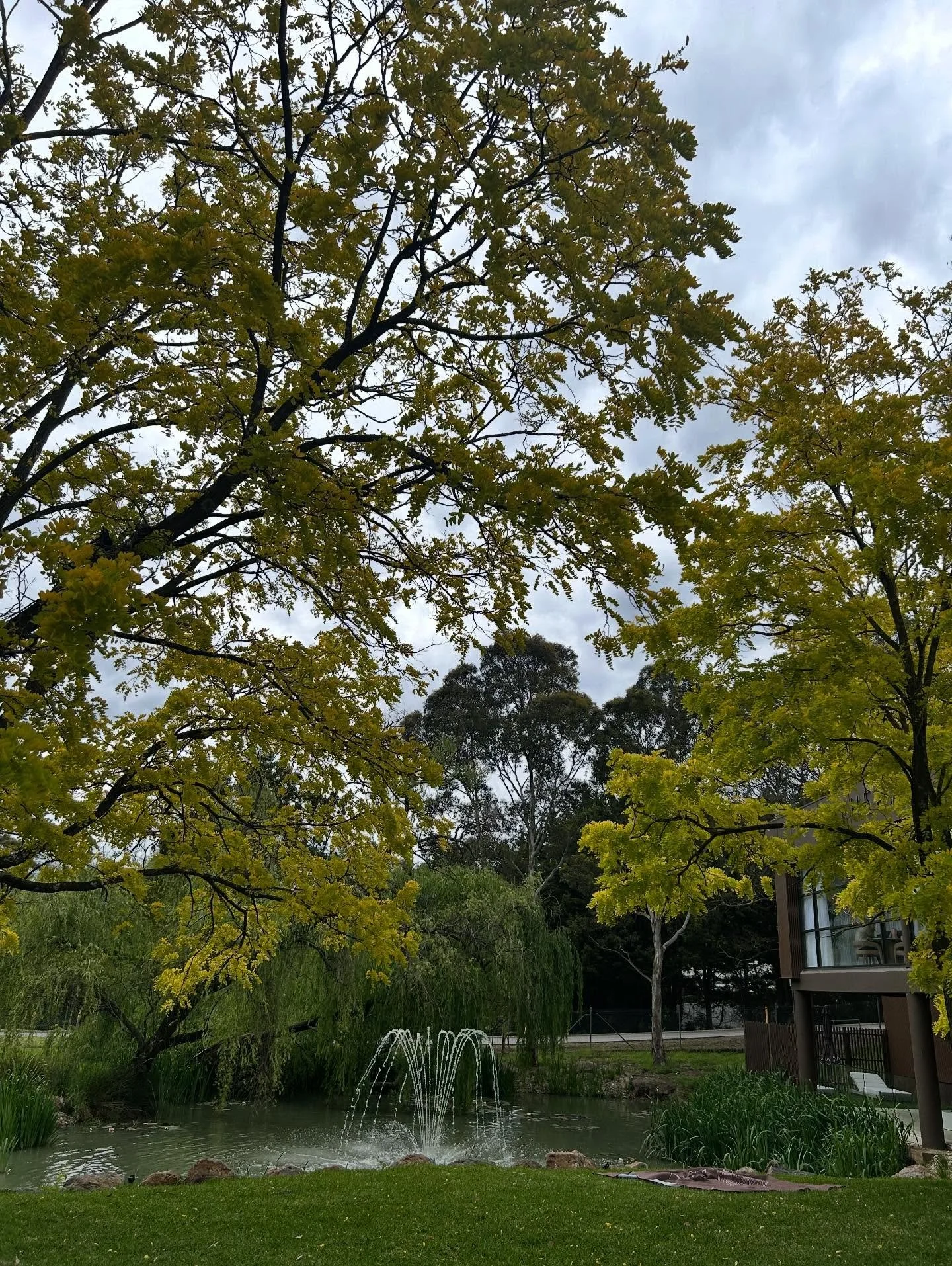 When it comes to healing, as a practitioner I have heard people say many times &lsquo;I&rsquo;ve tried everything&rsquo;. 

I have said these words recently myself. 

But how can we try everything. Our consciousness doesn&rsquo;t know every thing tha