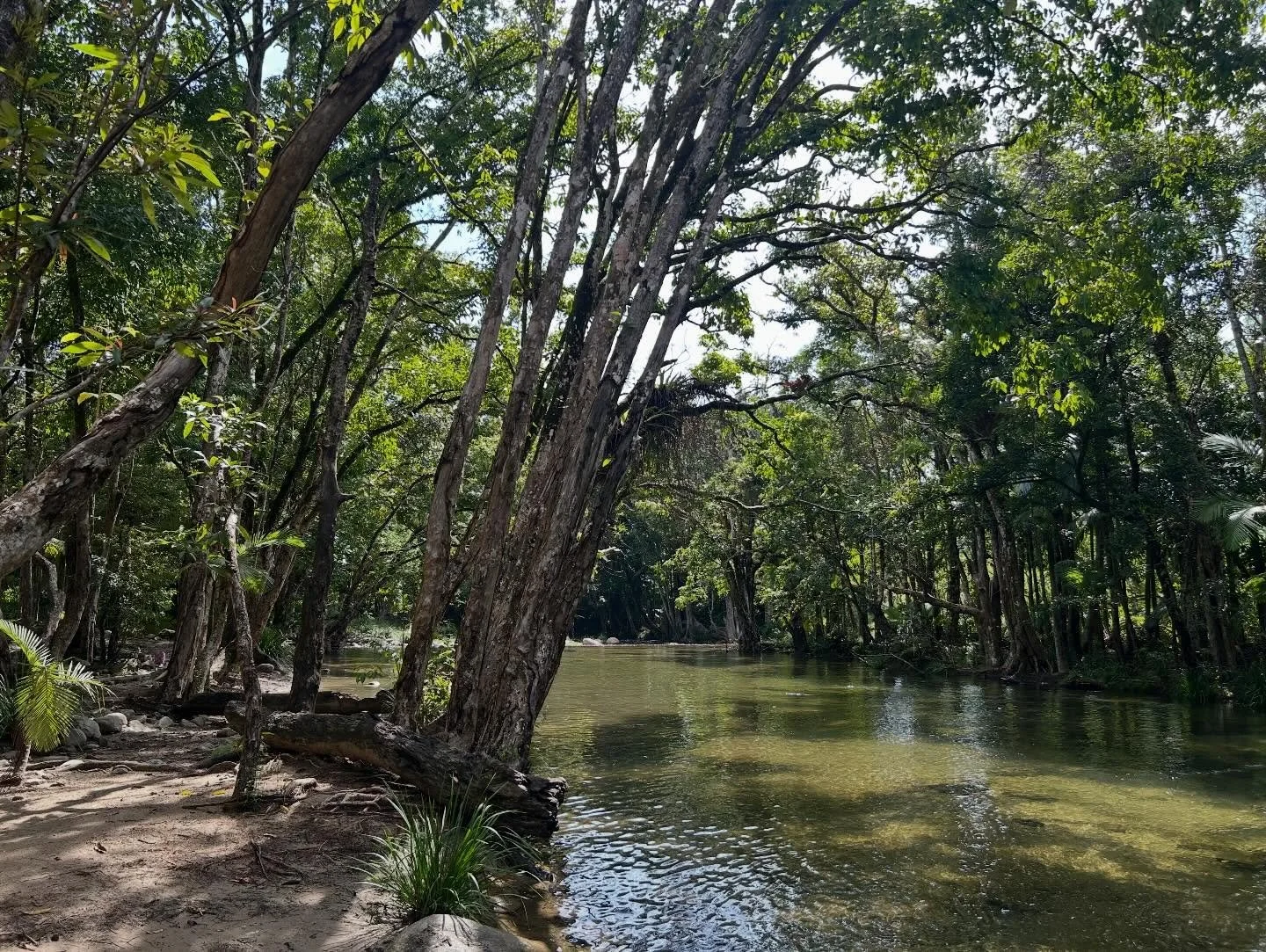 My recent trip to Port Douglas was a little different this time.

This visit rather than spending my mornings walking on the beautiful Four Mile beach and connecting with the water (I&rsquo;m a Pisces and a Water Rat in TCM) I felt the strong call fr