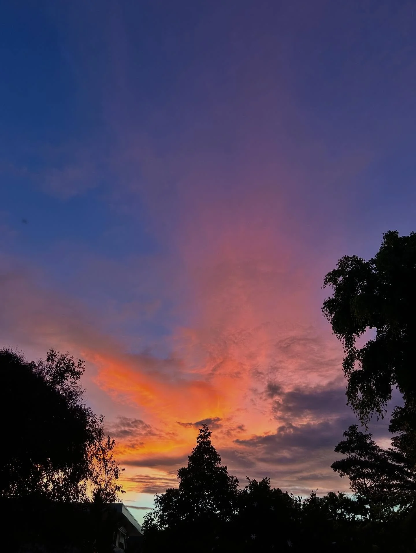 In Traditional Chinese Medicine, the Five Elements each correspond to a season, a rhythm, a movement of Qi through nature and through us.

Fire belongs to Summer, the season of fullness, radiance and outward expression. It is expansion, joy, connecti