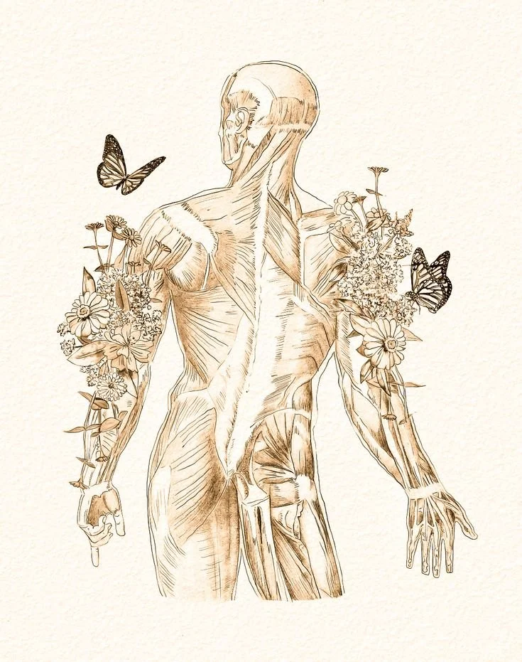 What Is Kinesiology?