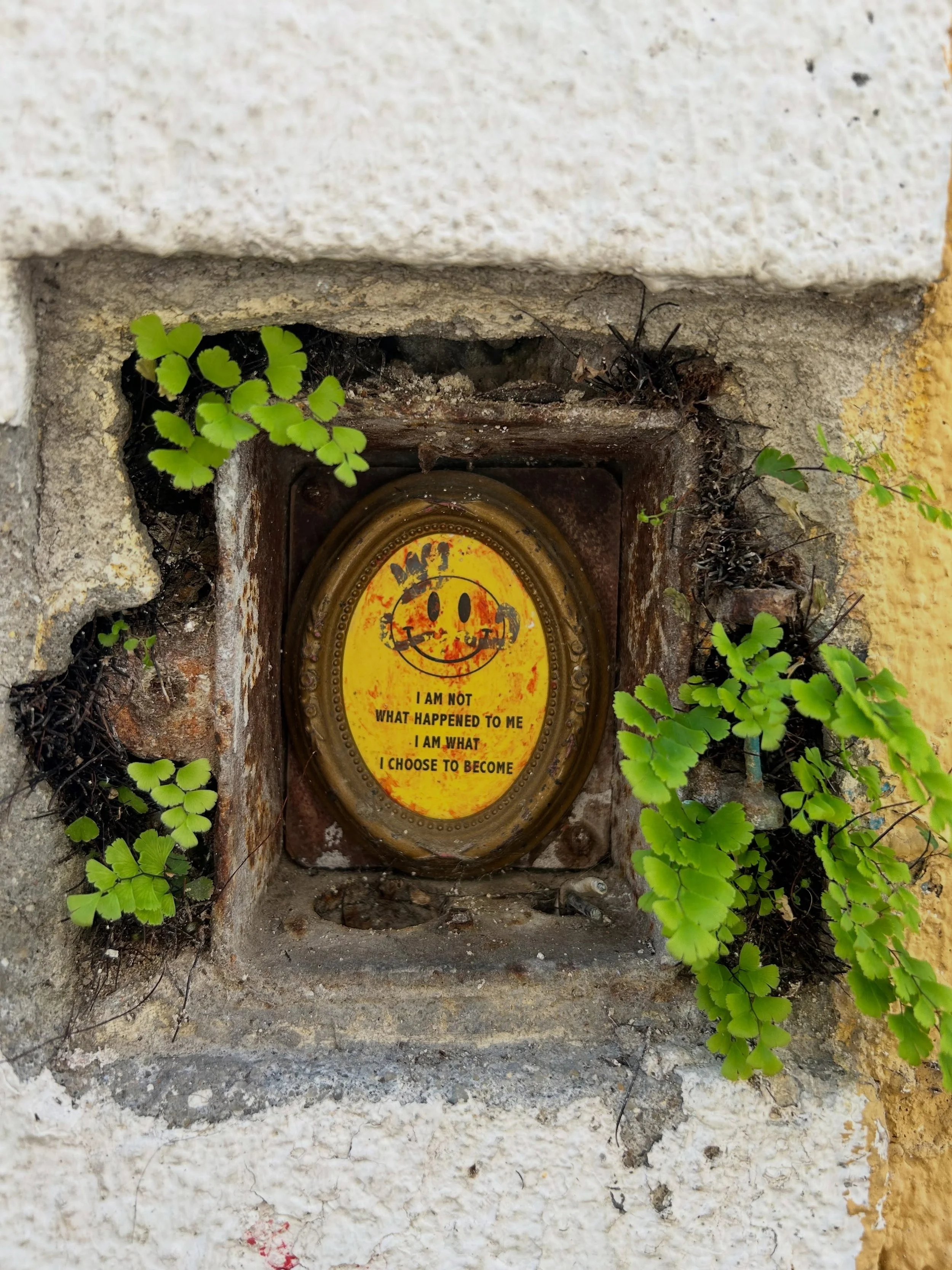 One of the best ways to see Lisbon, Portugal is to do a street art walking tour and it was one of my favoutite tours. 

I could easily post another 20 different slides of art.

We walked for 3 hours beginning in a little suburb filled with local art,