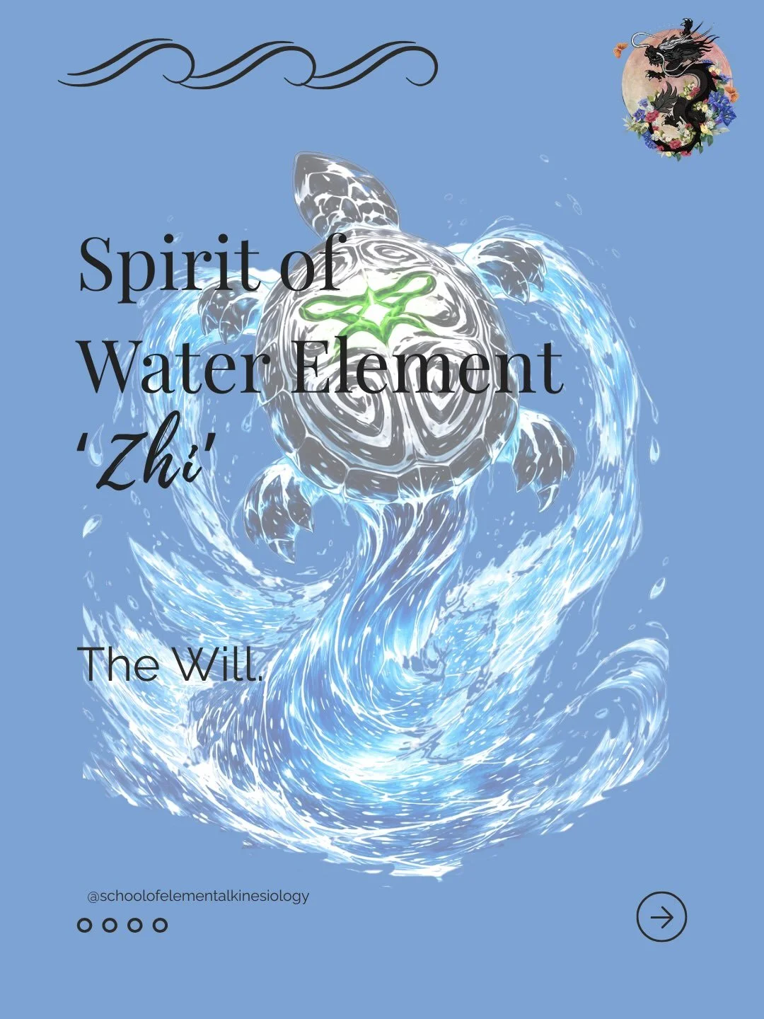 THE FIVE GUARDIANS OF THE SOUL - TWO

Spirit of the Water Element - &lsquo;Zhi&rsquo; The Will

Spirit Animal/Heavenly Beast - Black Turtle - Protection/Stillness

The Water Element represents Winter, the most Yin season of the Five Elements. 

Water