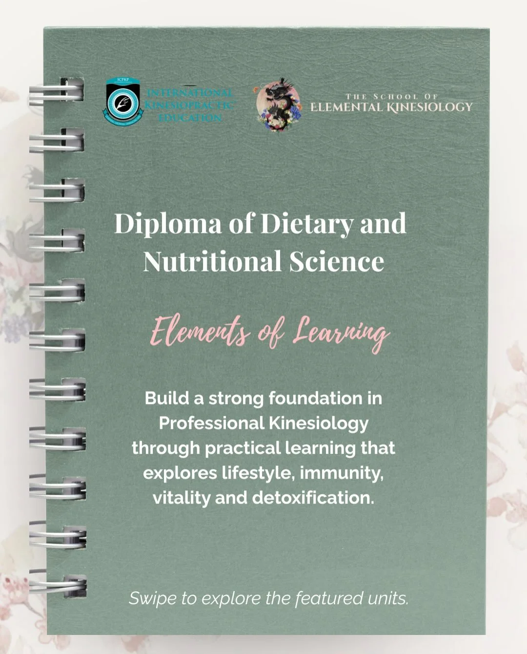This Diploma is my wheelhouse.

There is just 1 place remaining, with our first in-person weekend commencing on the 12th &amp; 13th September.

Everything taught throughout this Diploma addresses the very issues I see that keep people trapped in thei