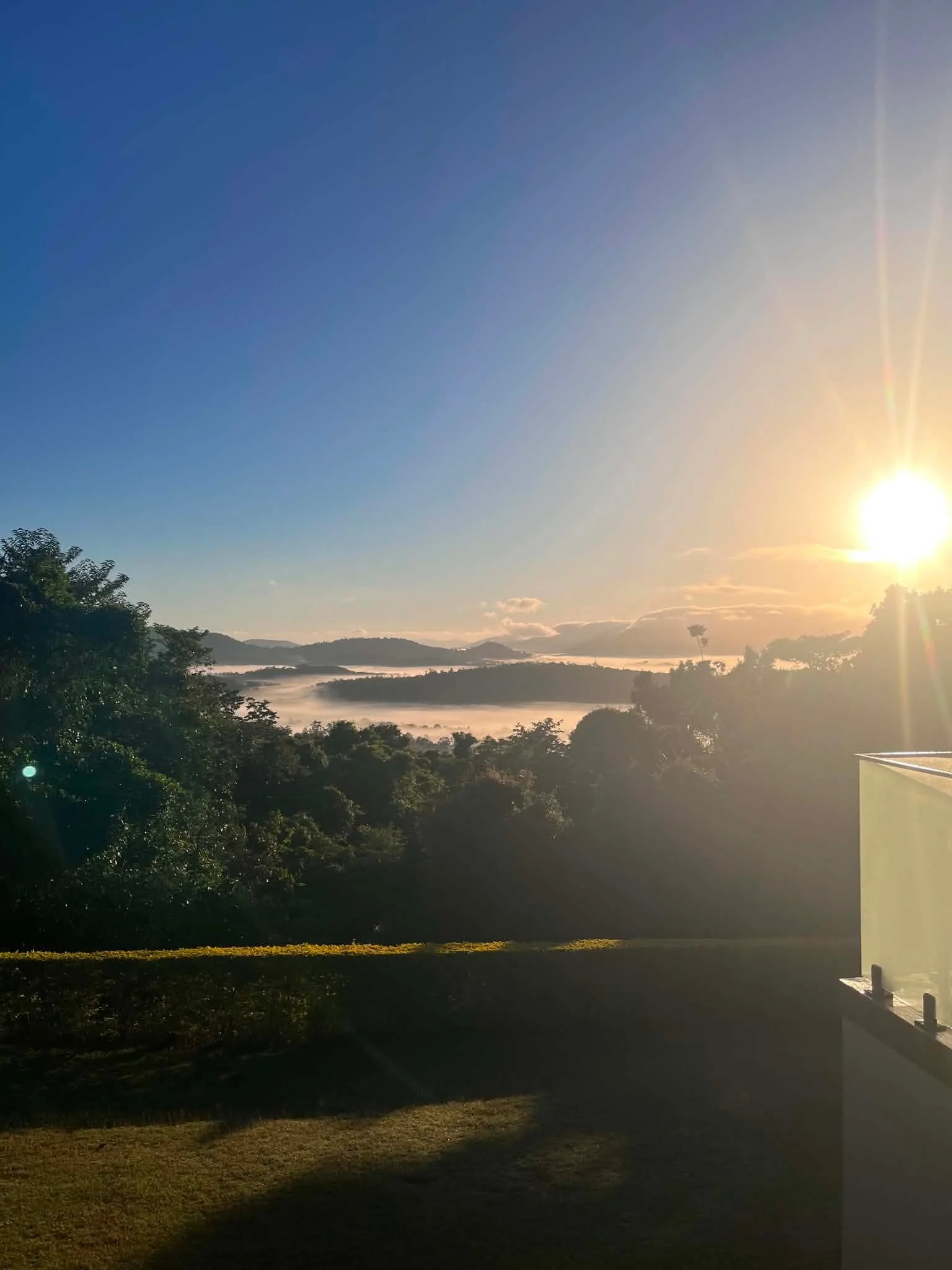 There will be many of you who instantly recognise this exquisite view, the beautiful property belonging to my dear friend Rebecca and her Elemental Healing Studio in Airlie Beach.

I will be staying here for a little while caring for this land and al