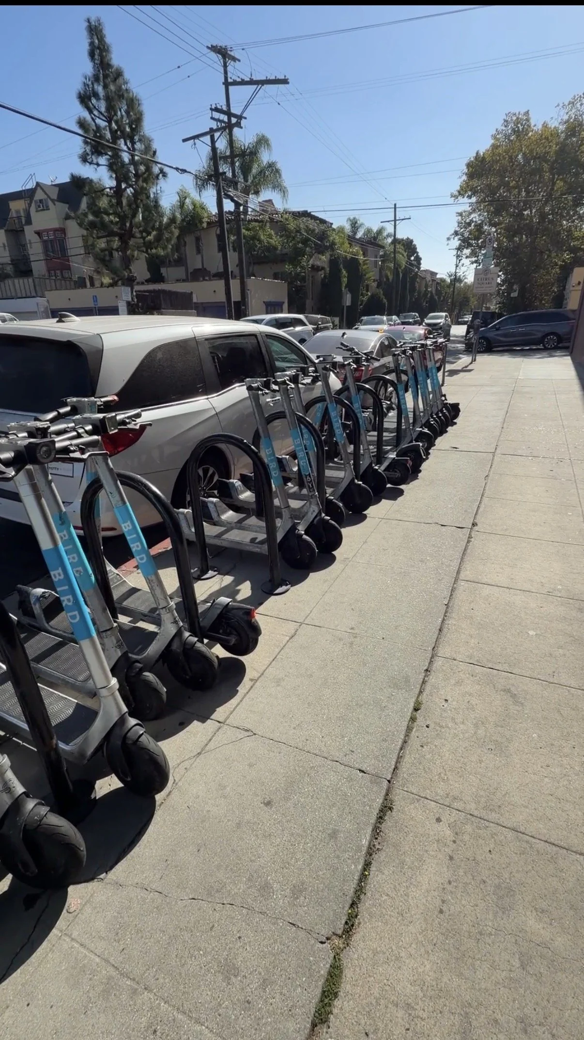 Bird Scooters are back in Los Angeles