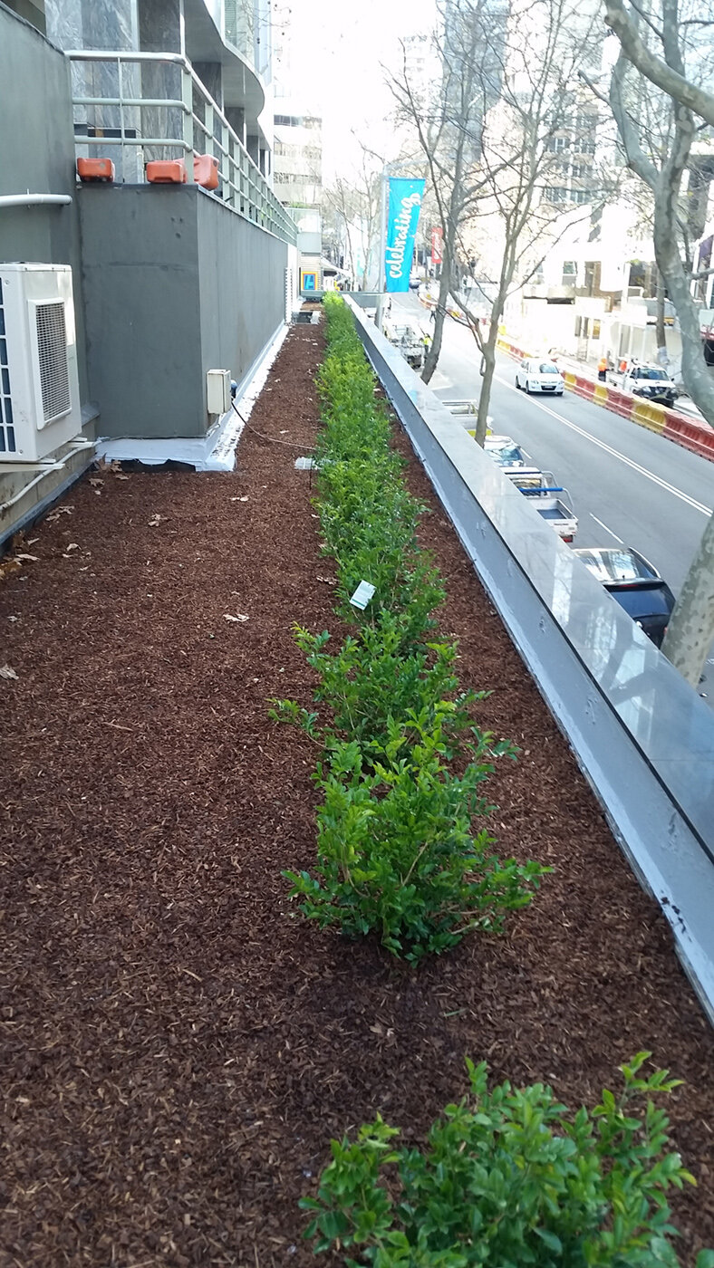 2 NS Planter Box 4.jpg
