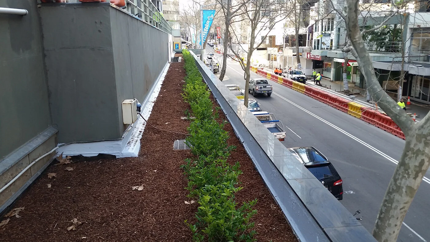 2 NS Planter Box 3.jpg