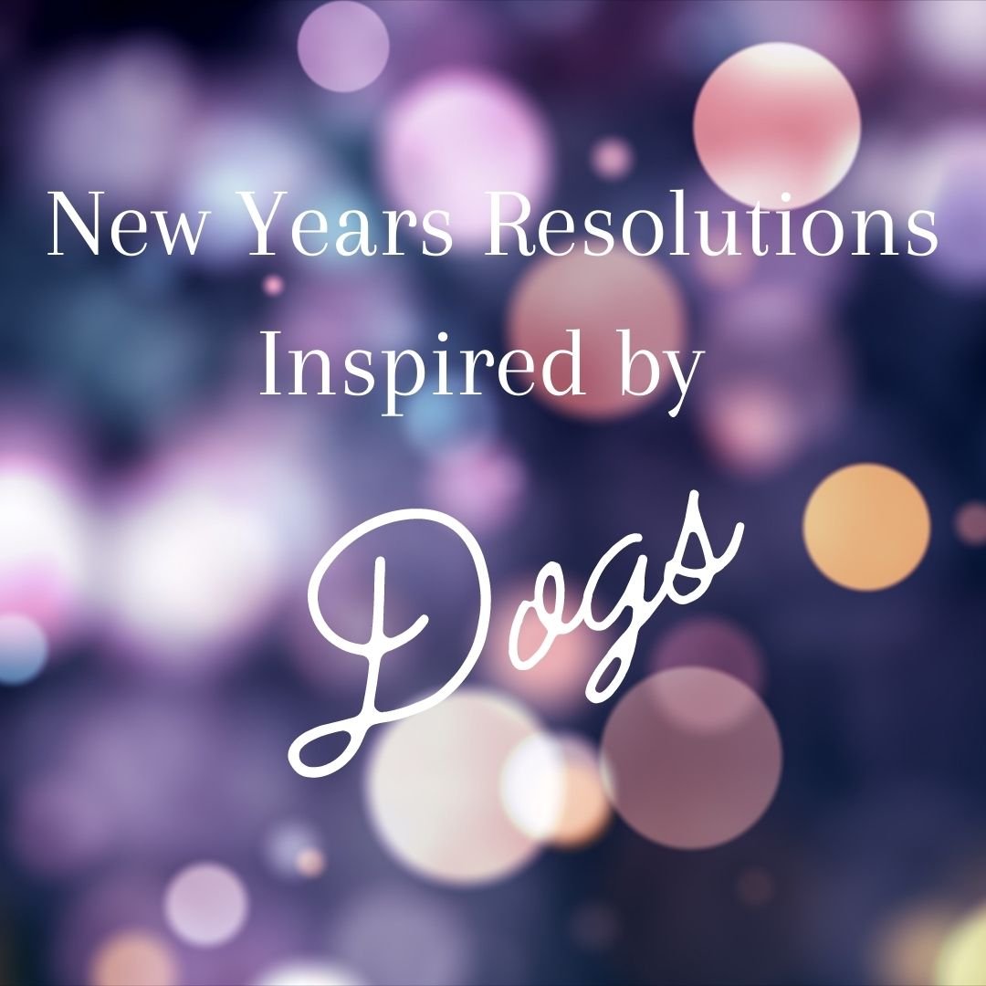 New Years Resolutions inspired by Dogs
