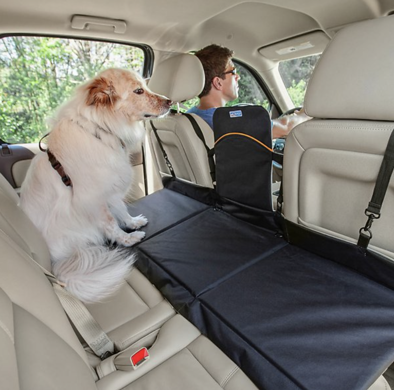 Comfortable back seat dog travel