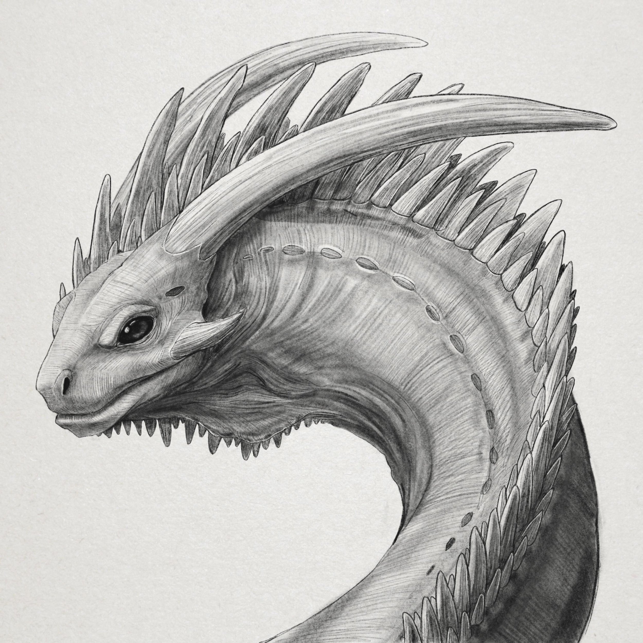 Noble Dragon
