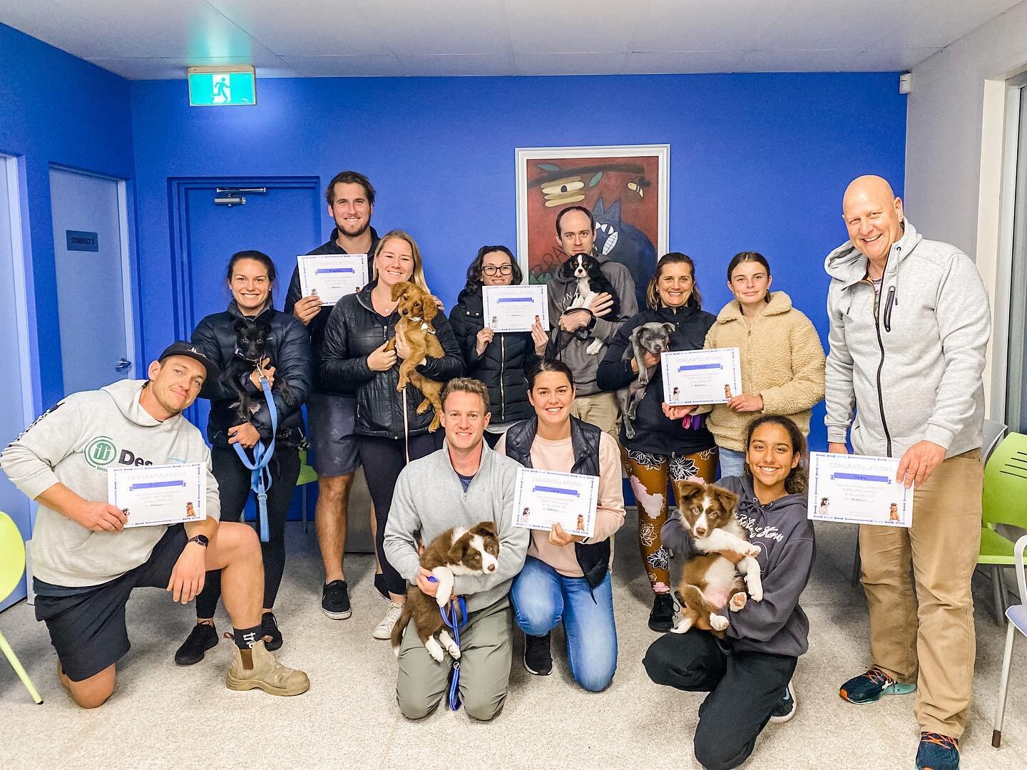 Congratulations on graduating @amyspuppypreschool to this wonderful group at @allambievet tonight! A great group of pups and owners, good luck on the rest of your dog training journey! 
Congratulations to Billi, Frankie, Archie,  Sasha, Ozzy, and Car