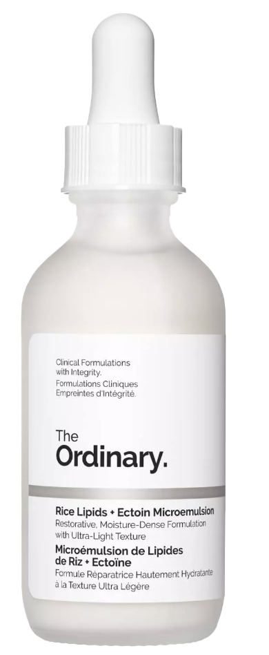 The Ordinary Rice Lipids