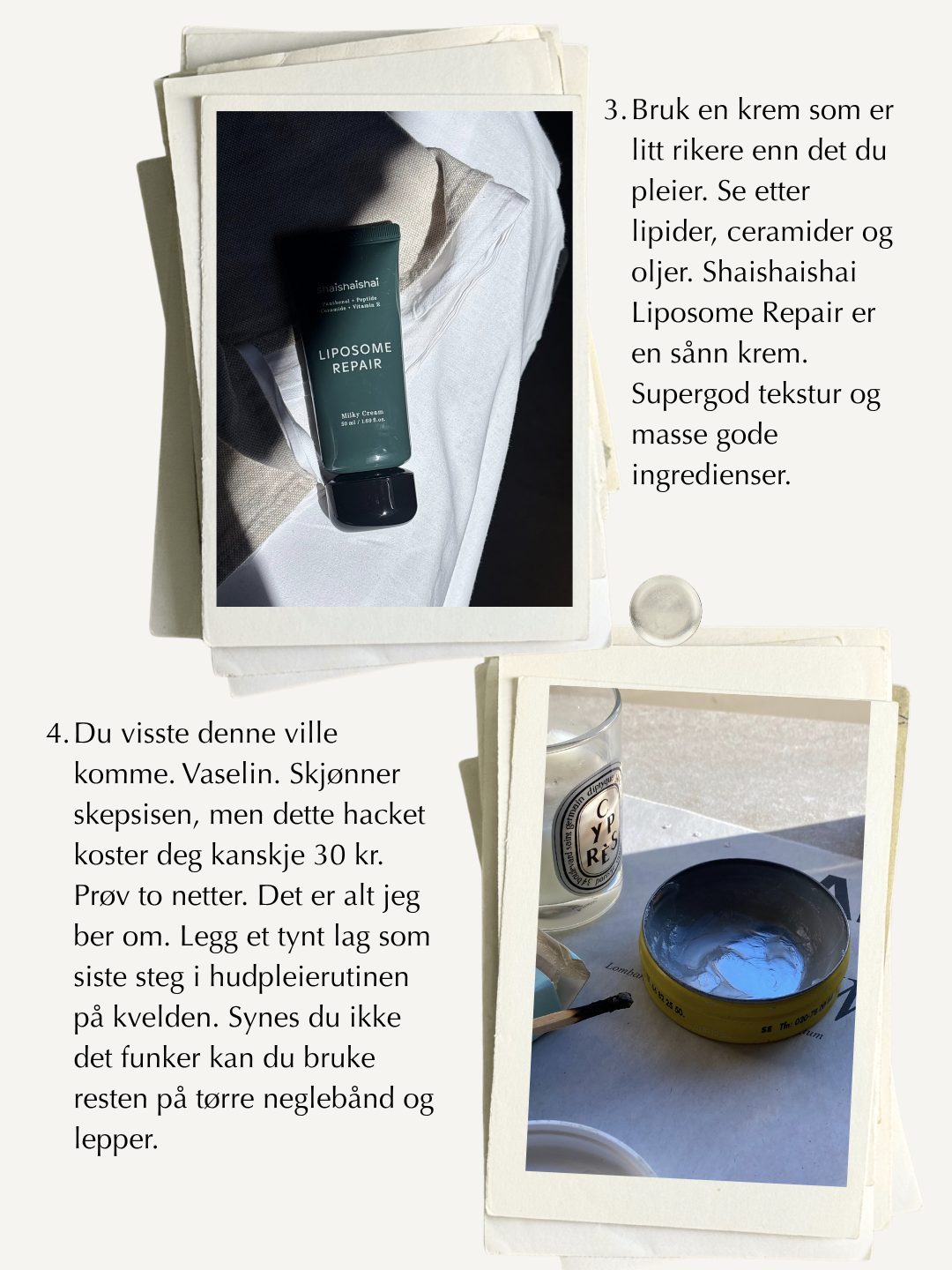 STEG FOR STEG FOR TØRR HUD.003.png