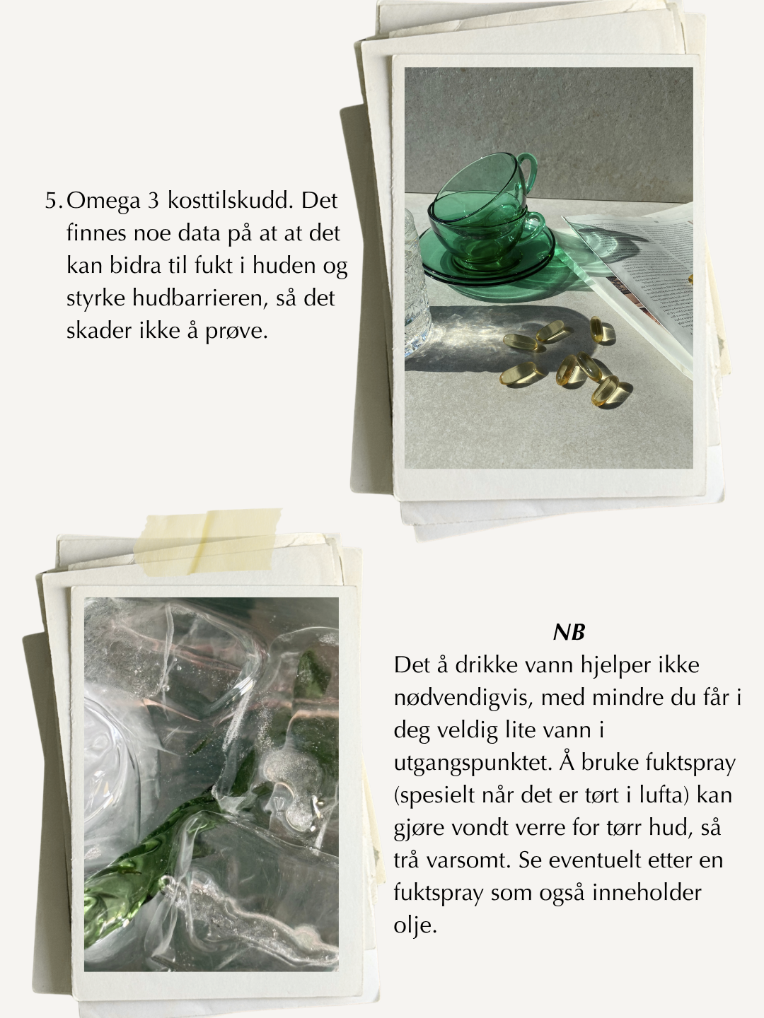STEG FOR STEG FOR TØRR HUD.004.png