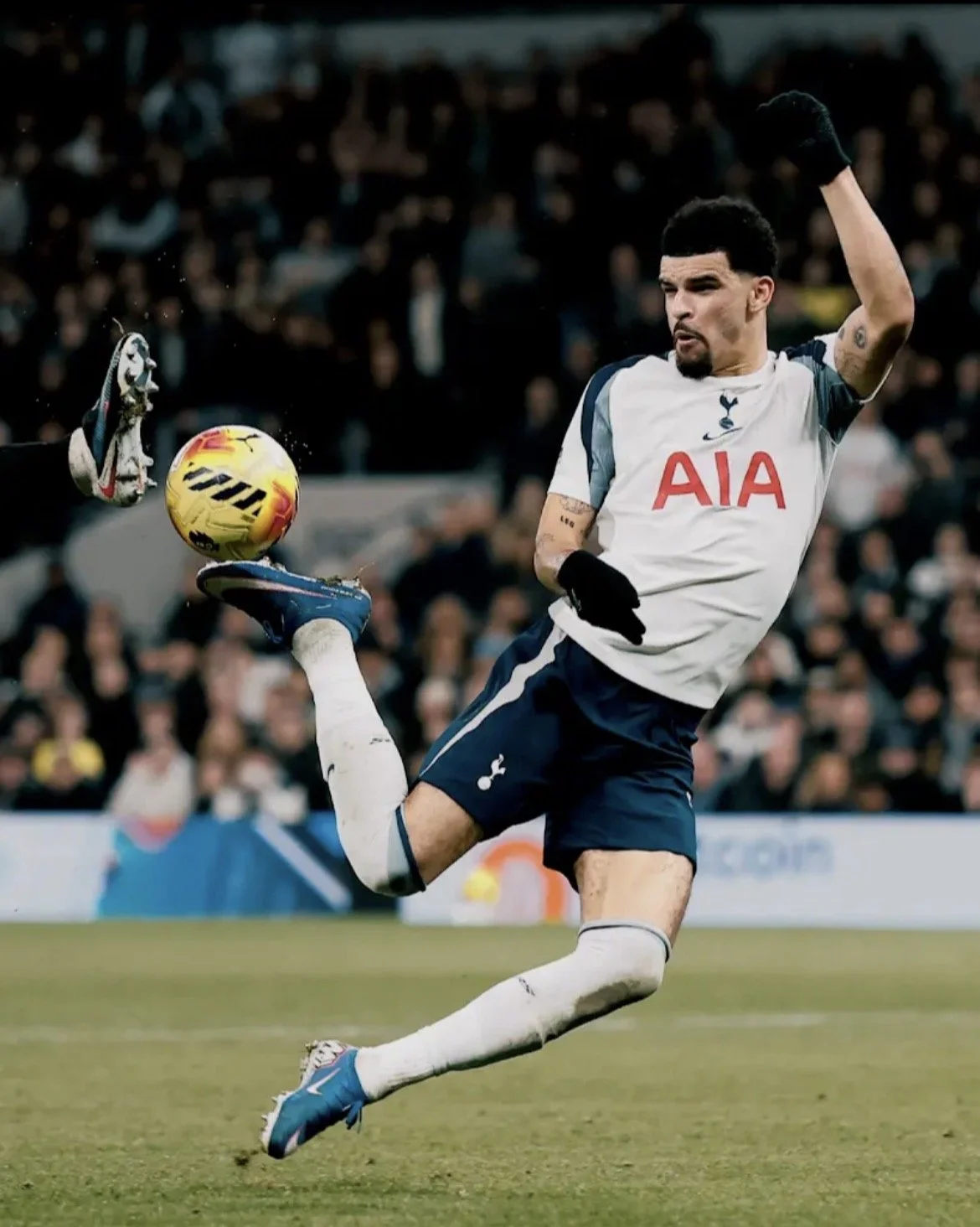 This Week in Fandom: Voyages Homeward.