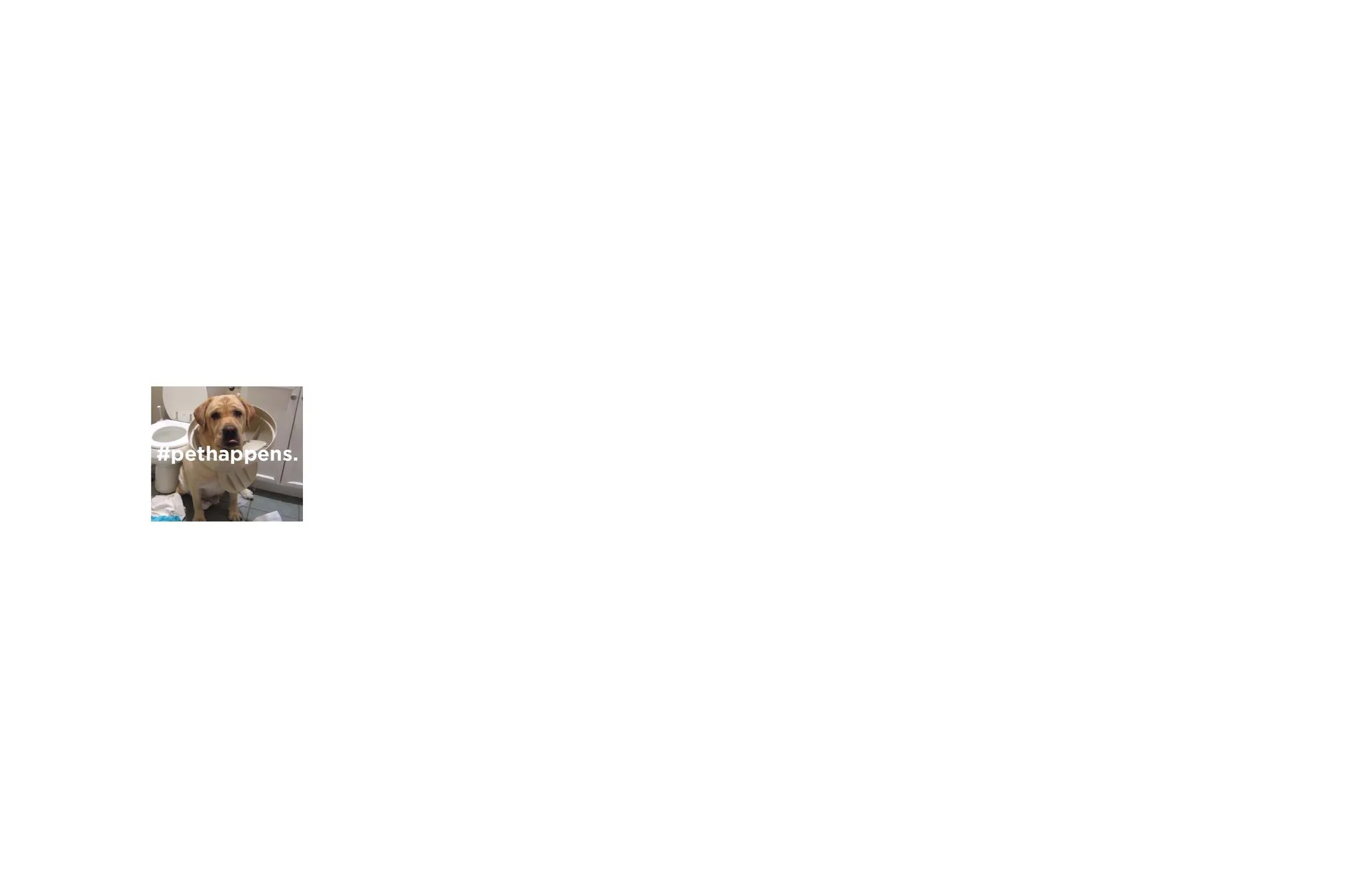 3.Thumbnail.Cropped-page-001.jpg