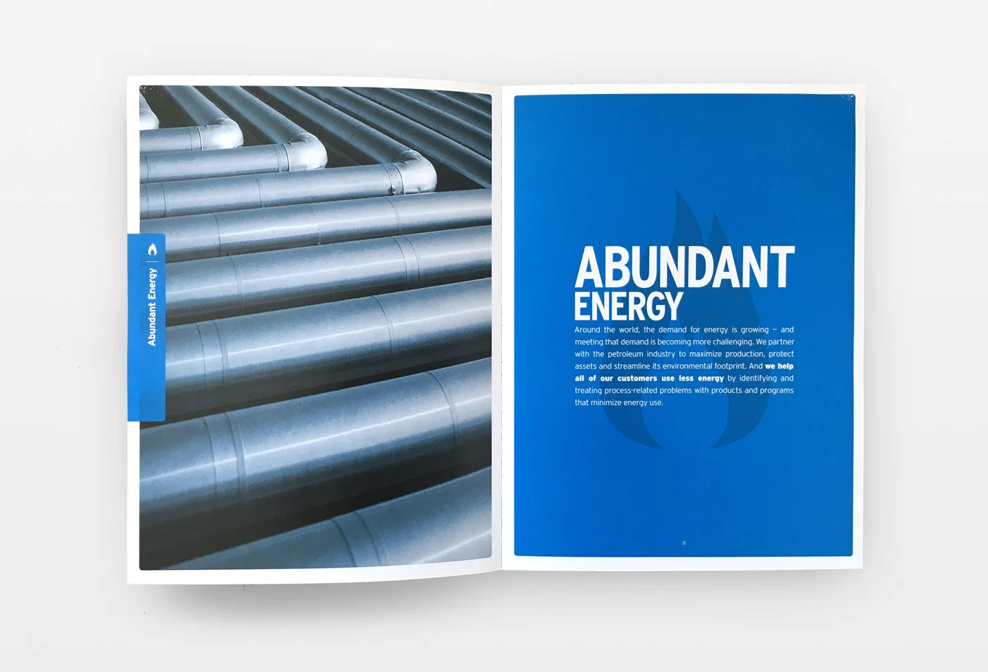 2.P.Abundant.jpg