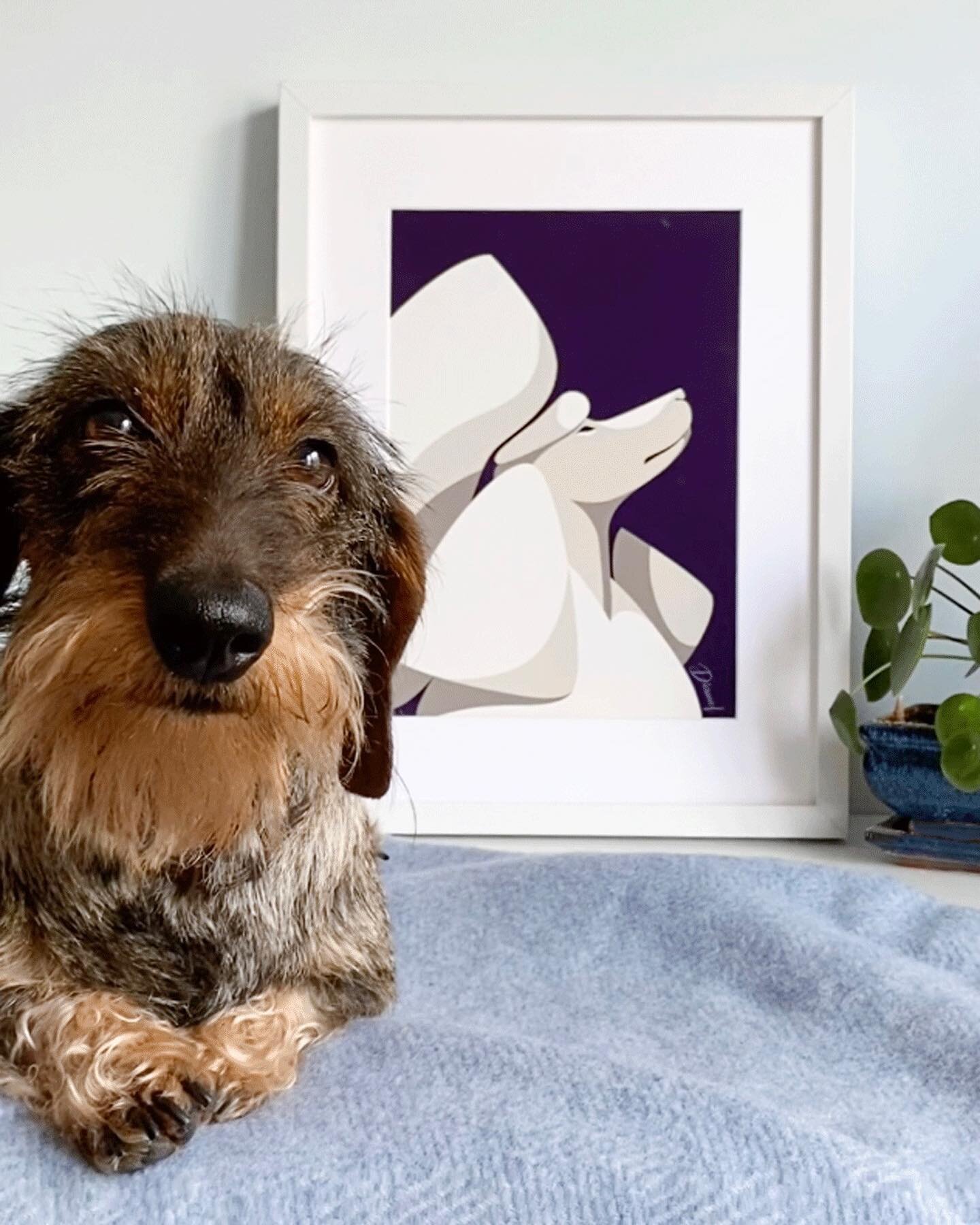 Happy National Dachshund Day! ✨⁣⁣
⁣⁣
⁣⁣
⁣⁣
Thanks for a reminder @juta.ki and greetings to Riekė &amp; Smalkė 😉⁣⁣
⁣⁣
⁣⁣
⁣⁣
⁣⁣
⁣⁣
⁣⁣
⁣⁣
⁣⁣
#nationaldoxieday #dachshundday #wirehaired #dachshund #dogsofinstagram #teckel #dachshundpuppy #dachshundsofin