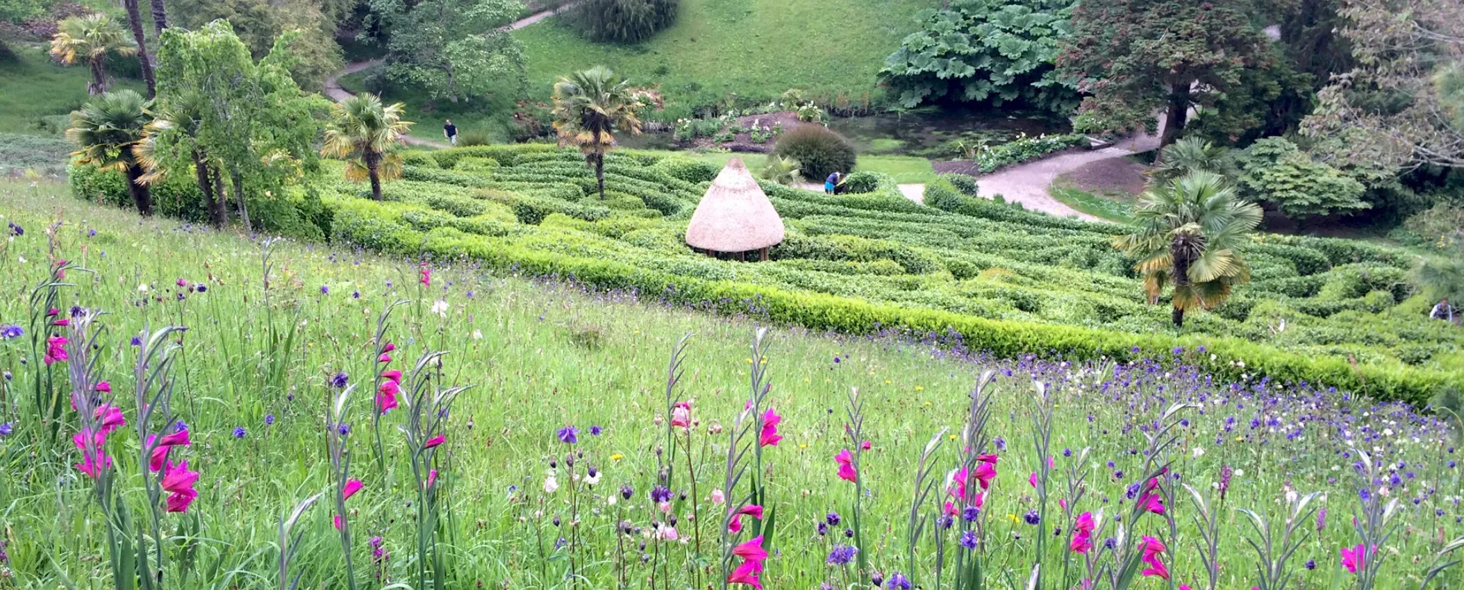 Glendurgan Garden identity design and illustration